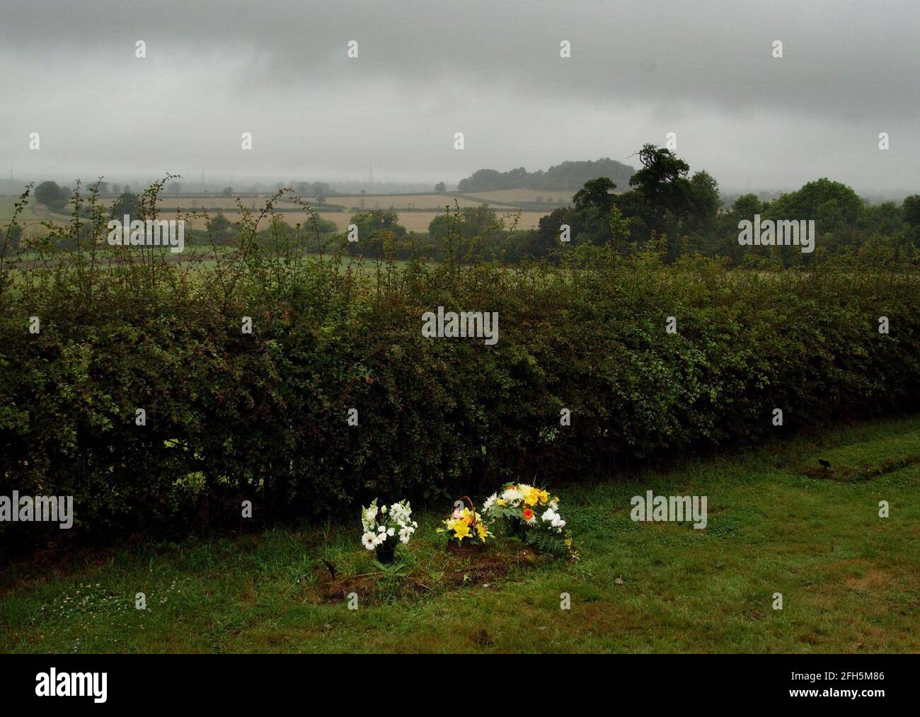 DAWN OVER THE GRAVE OF DR DAVID KELLY AT ST MARY'S CHURCHYARD IN LONGWORTH,OXON.16/7/04 PILSTON Stock Photo