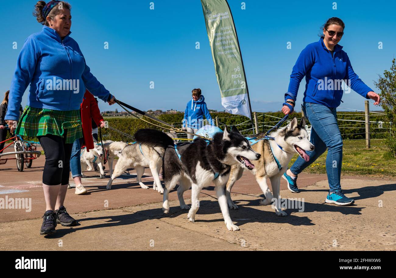 East Lothian, Scotland, United Kingdom, 25th April 2021. Virtual Kilt