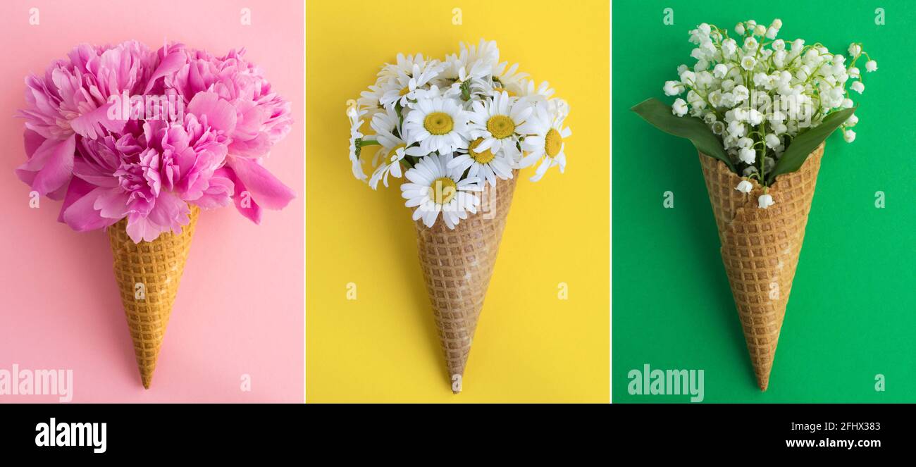 Collage of ice cream cone with flowers on the colored  background.  Spring or summer flowers concept. Stock Photo