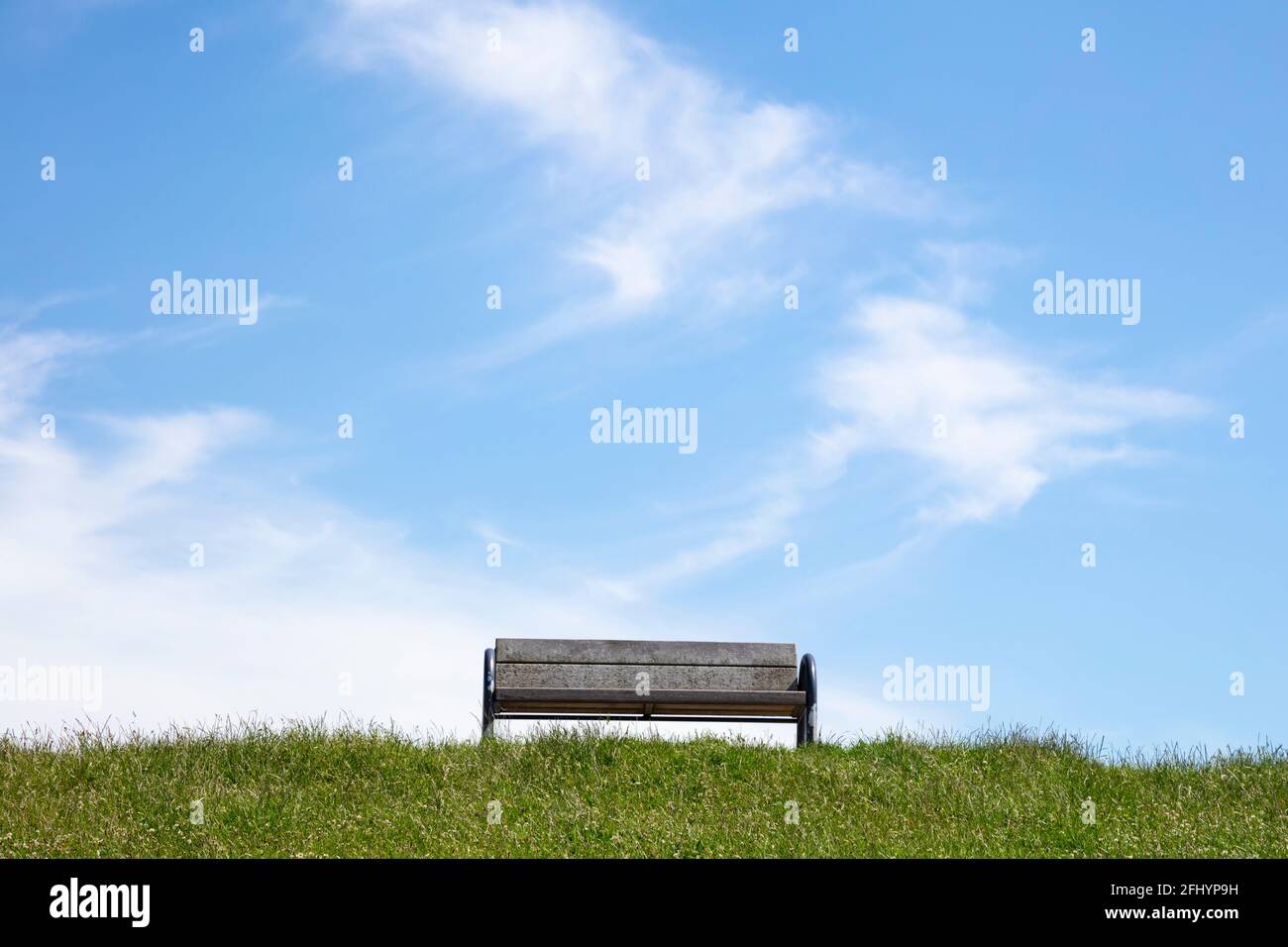 Grass at the dyke, East Frisia, Lower saxony, Germany, Europe Stock Photo