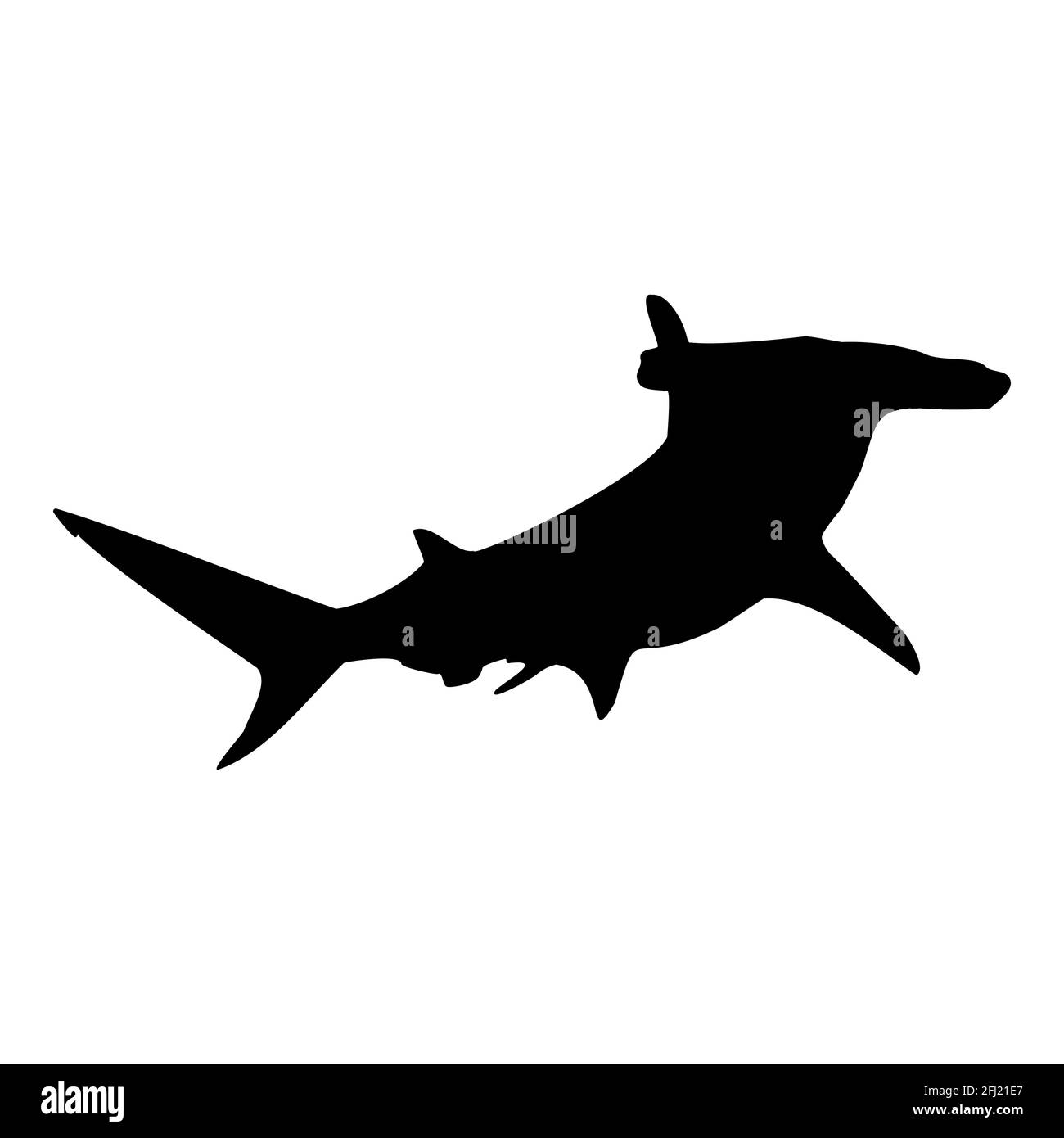 Hammerhead shark isolated black silhouette. Side view. Marine animal. White background. Vector illustration clipart. Stock Vector