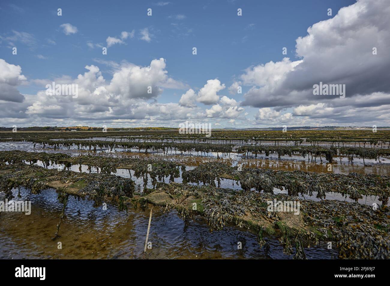Woodstown Beach, Waterford, Ireland. some Oyster and seafood farm on