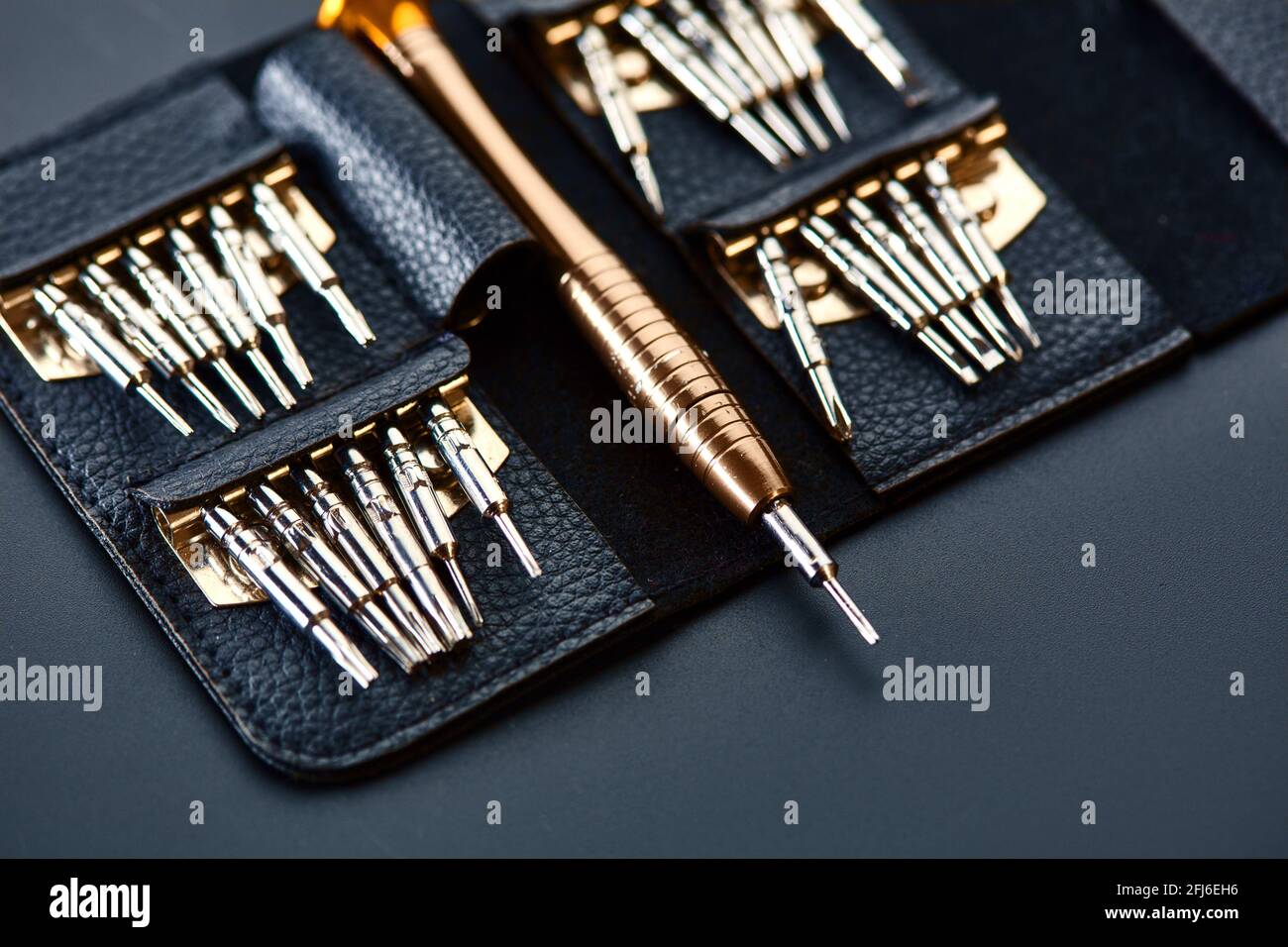 Screwdriver and set of replaceable bits, closeup Stock Photo