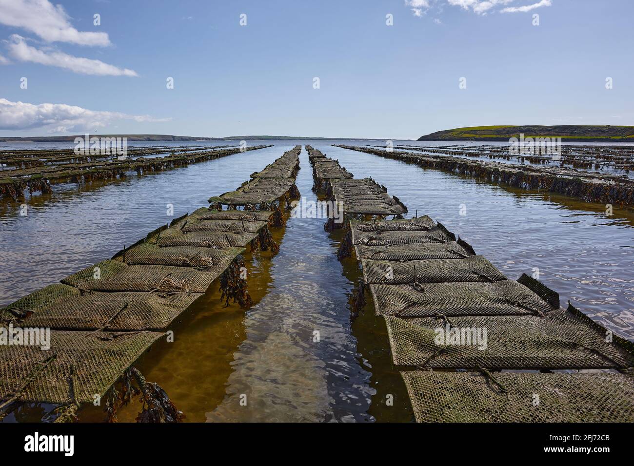 Woodstown Beach, Waterford, Ireland. some Oyster and seafood farm on