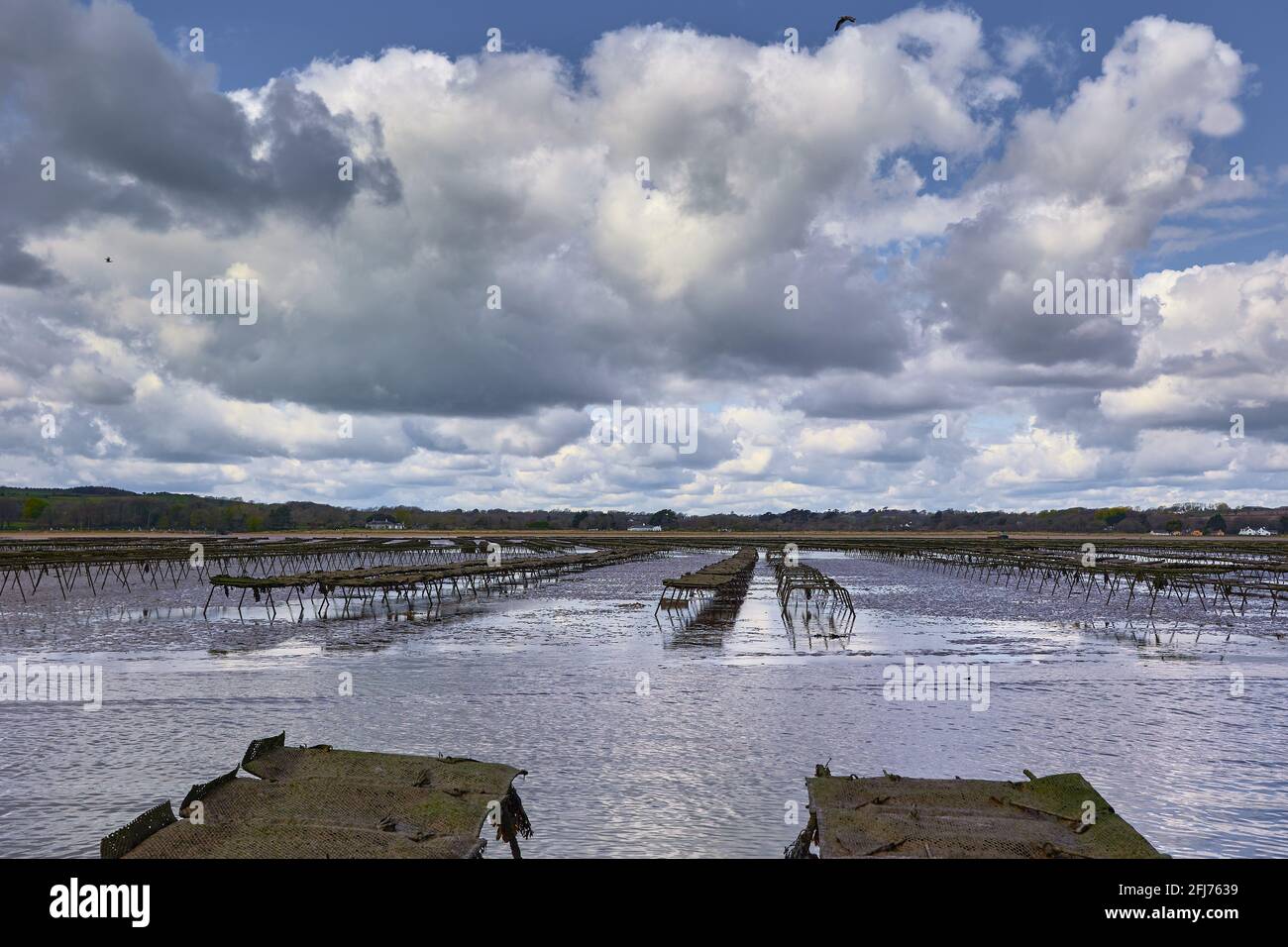 Woodstown Beach, Waterford, Ireland. some Oyster and seafood farm on