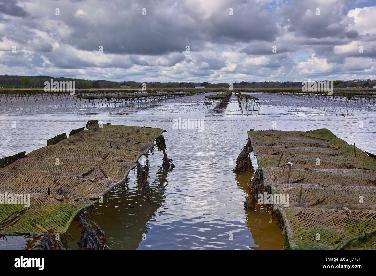 Woodstown Beach, Waterford, Ireland. some Oyster and seafood farm on