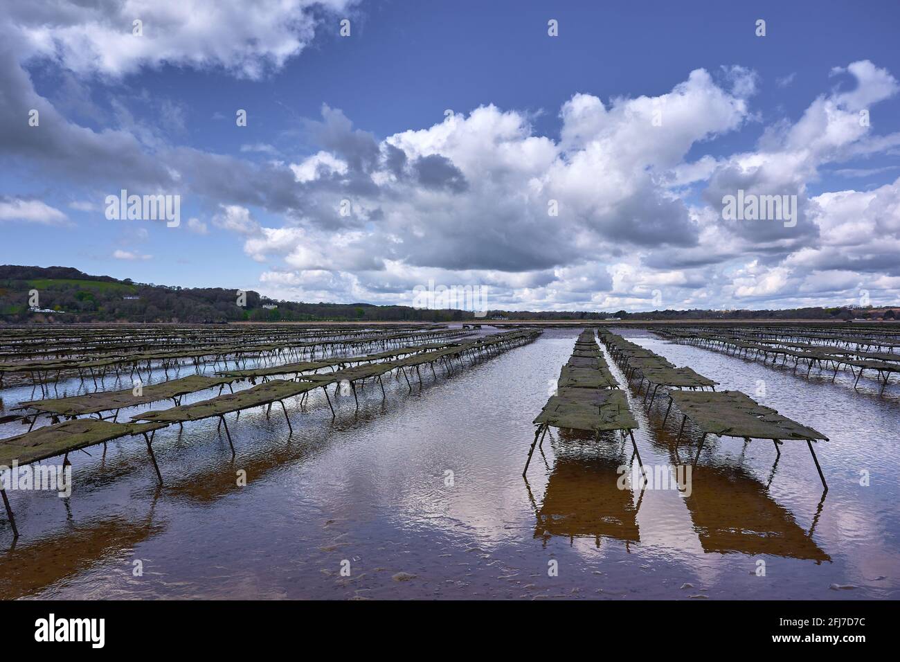 Woodstown Beach, Waterford, Ireland. Oyster and seafood farm on the