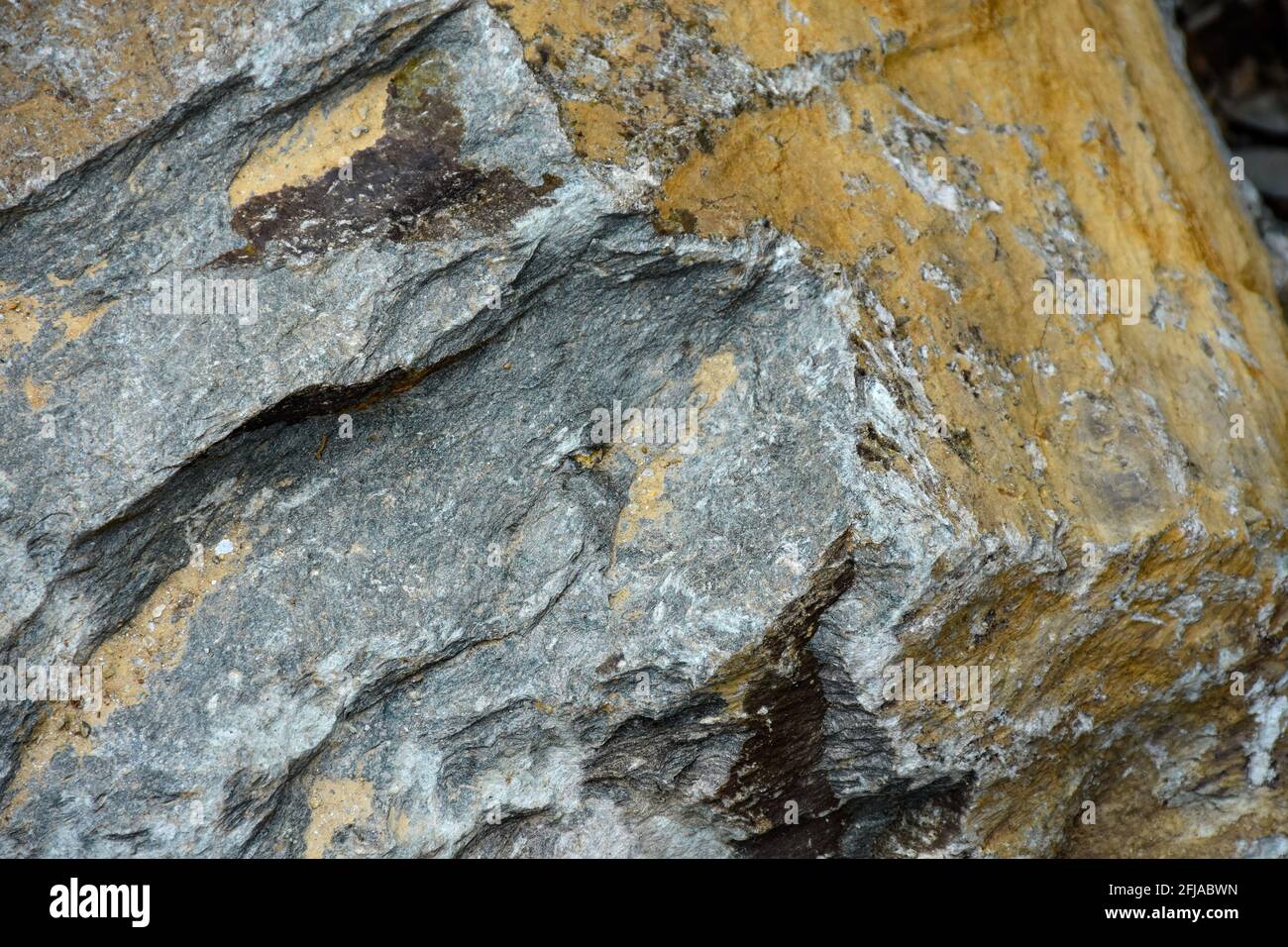 Amorphous rocks with beautiful design , pattern and color Stock Photo