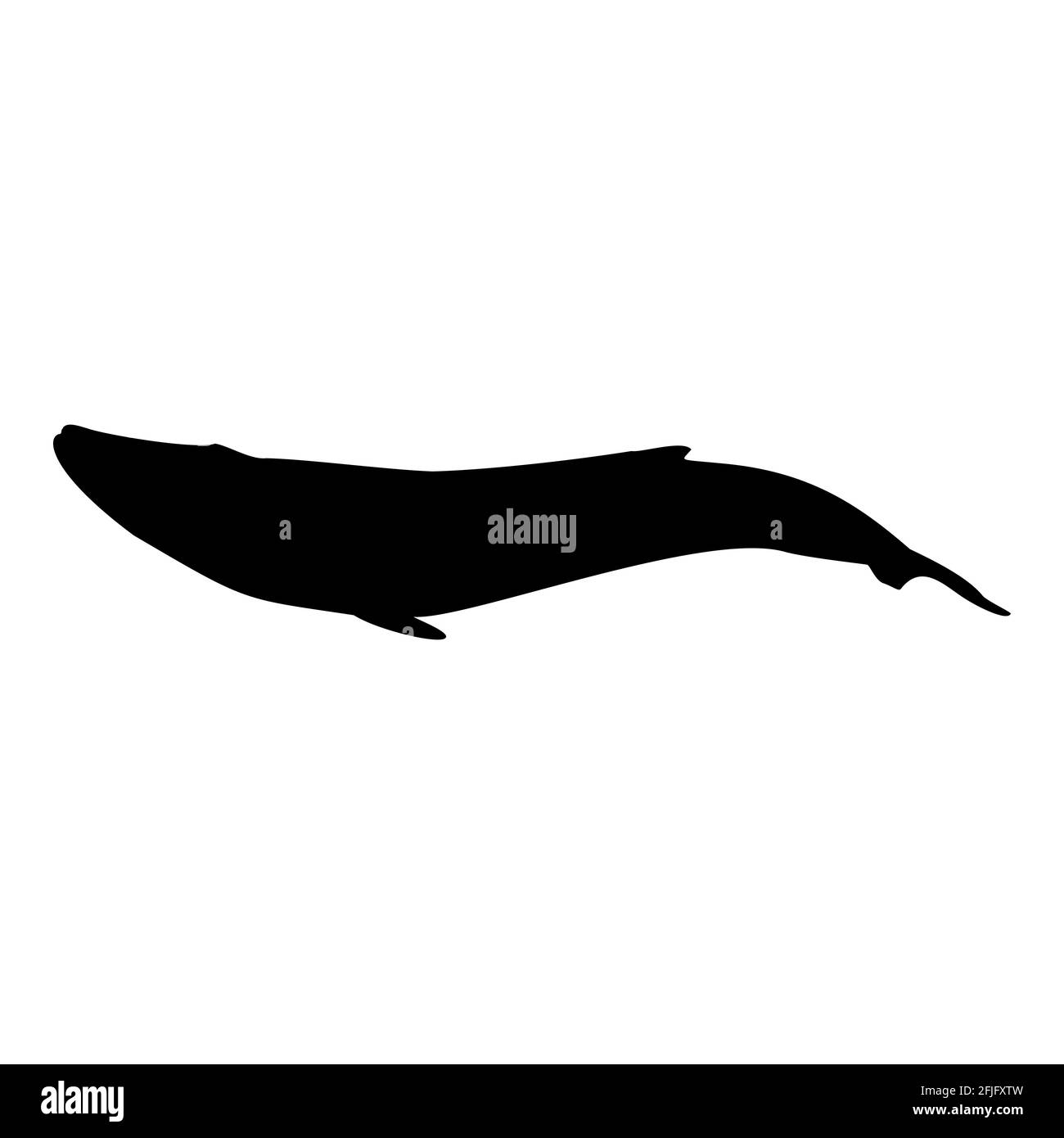 Blue whale isolated black silhouette. Marine animal. White background. Vector illustration clipart. Stock Vector