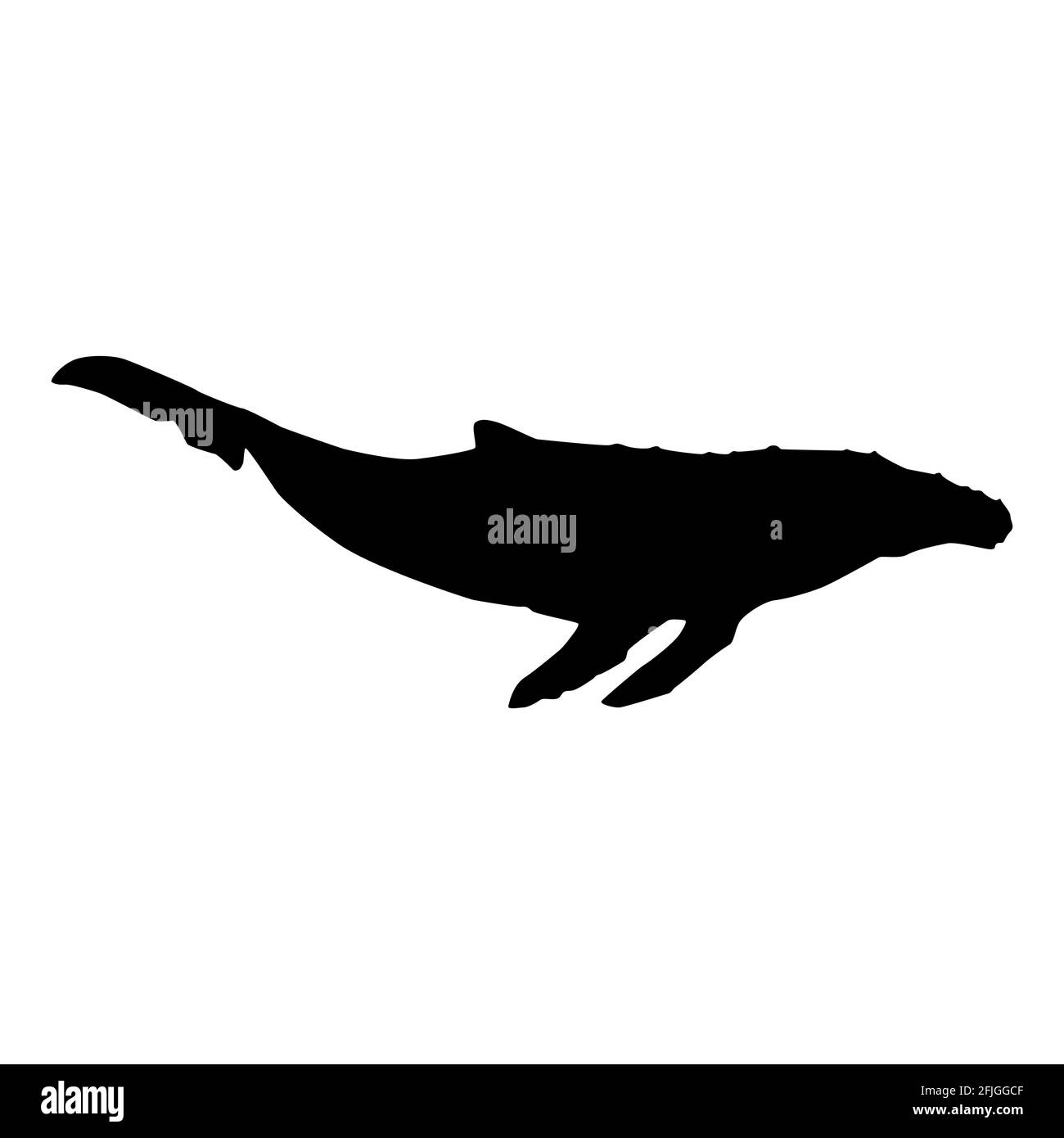 Blue whale isolated black silhouette. Marine animal. White background. Vector illustration clipart. Stock Vector