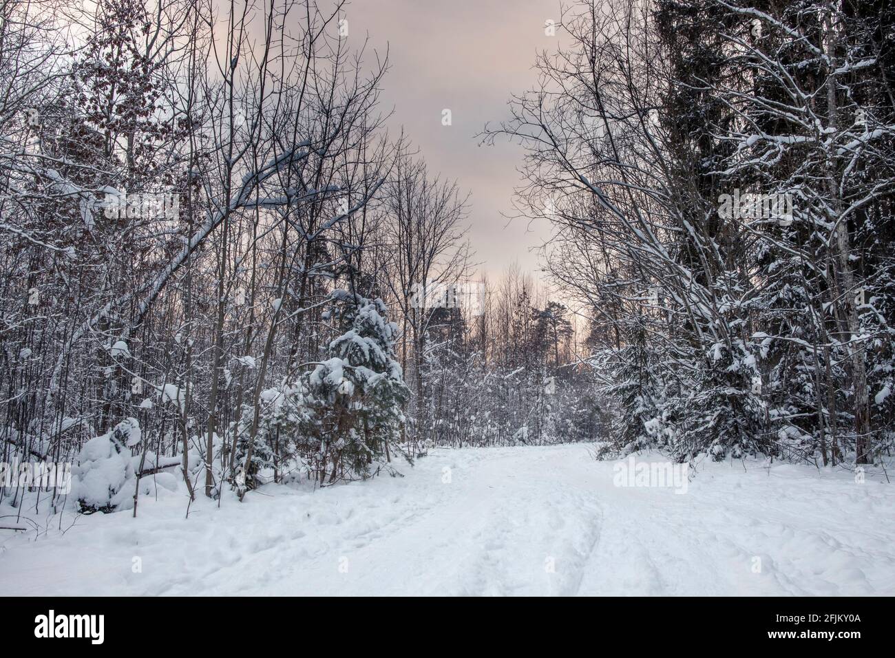 Beautiful and snowy winter hi-res stock photography and images - Alamy