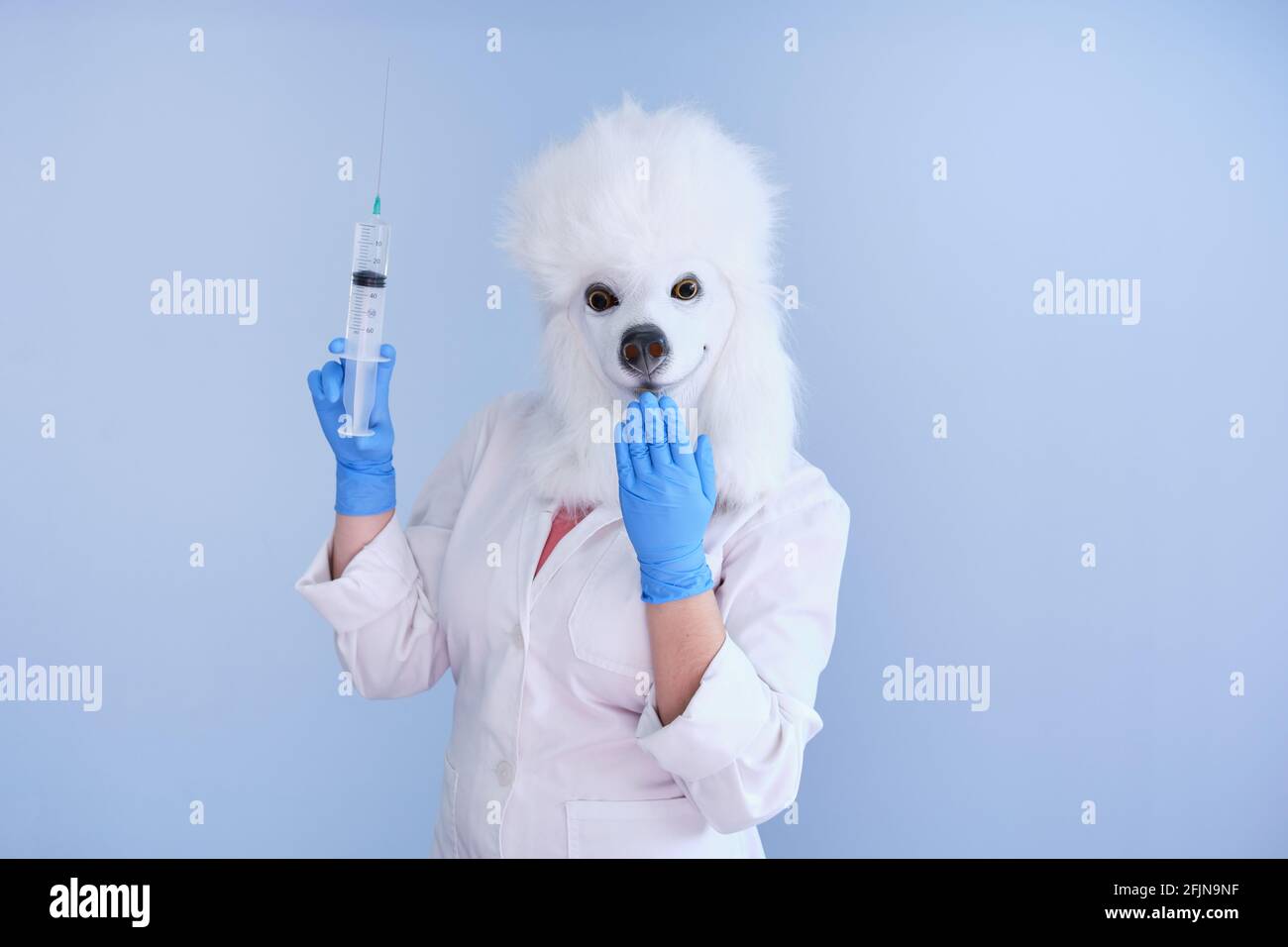 Young woman in a latex dog head mask and white coat holding a big syringe and giggle on a blue background. Doctor medical veterinary concepts. Stock Photo
