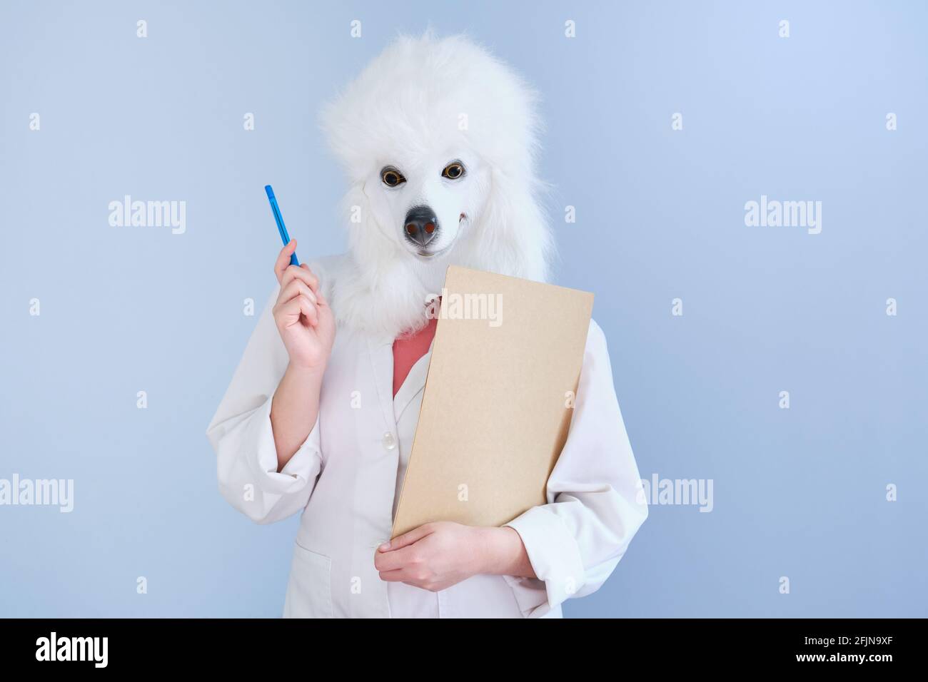 Young woman in a latex dog head mask and white coat holding a pen and a medical report on a blue background. Doctor medical veterinary concepts. Stock Photo