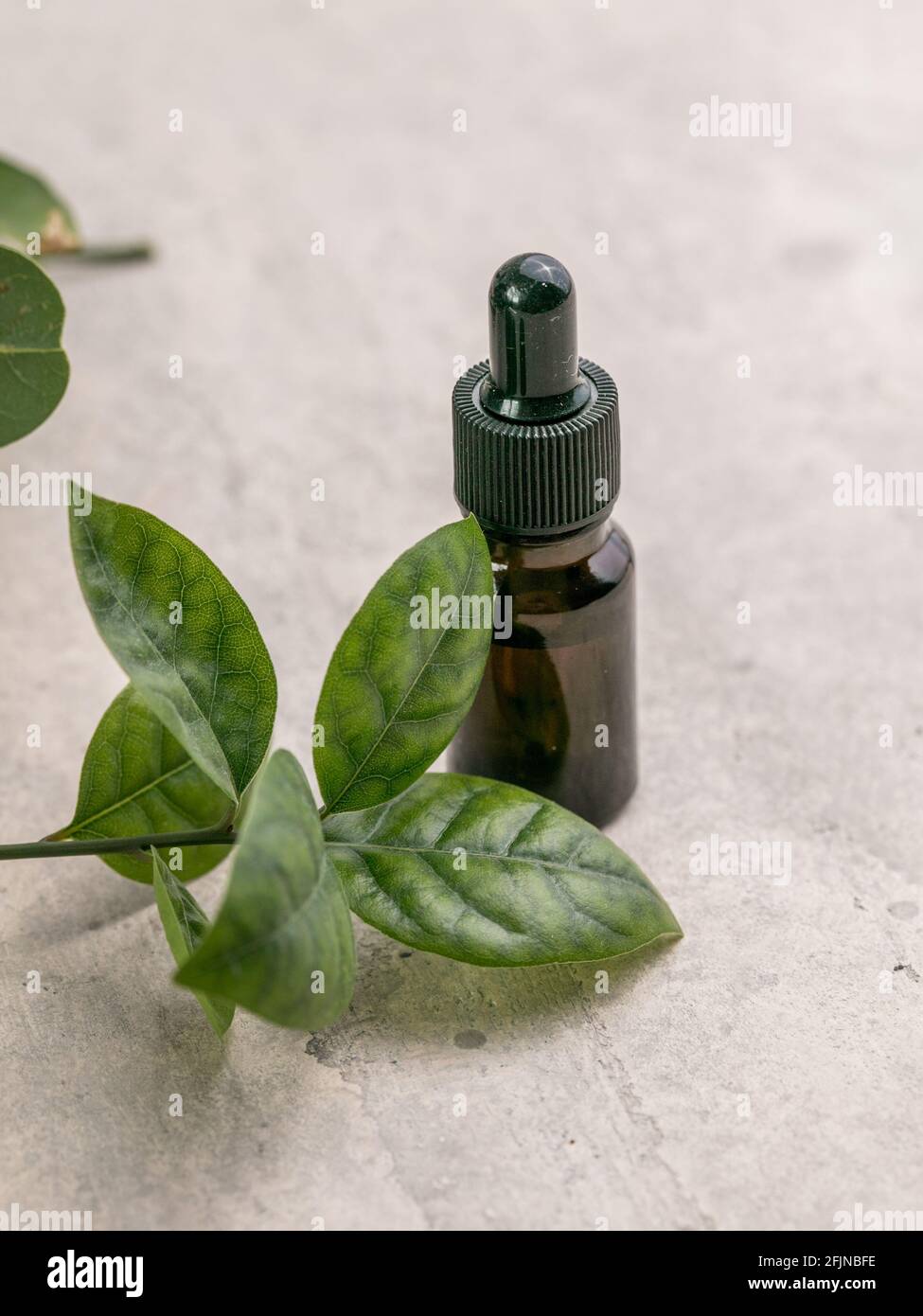 glass bottle of essential bay laurel oil with daphne leaves. Healthy lifestyle spa, therapy concept. Stock Photo