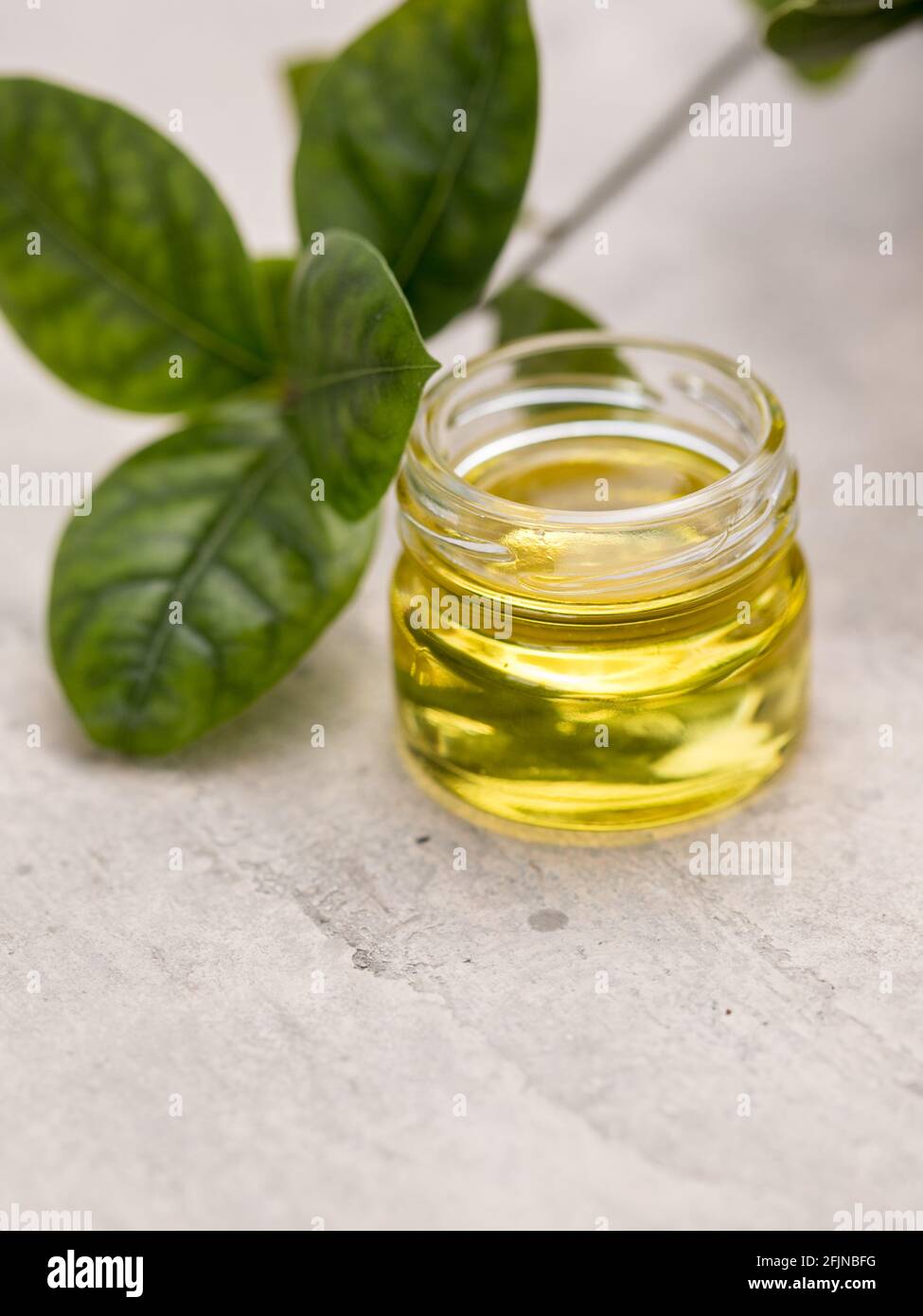 glass bottle of essential bay laurel oil with daphne leaves. Healthy lifestyle spa, therapy concept. Stock Photo