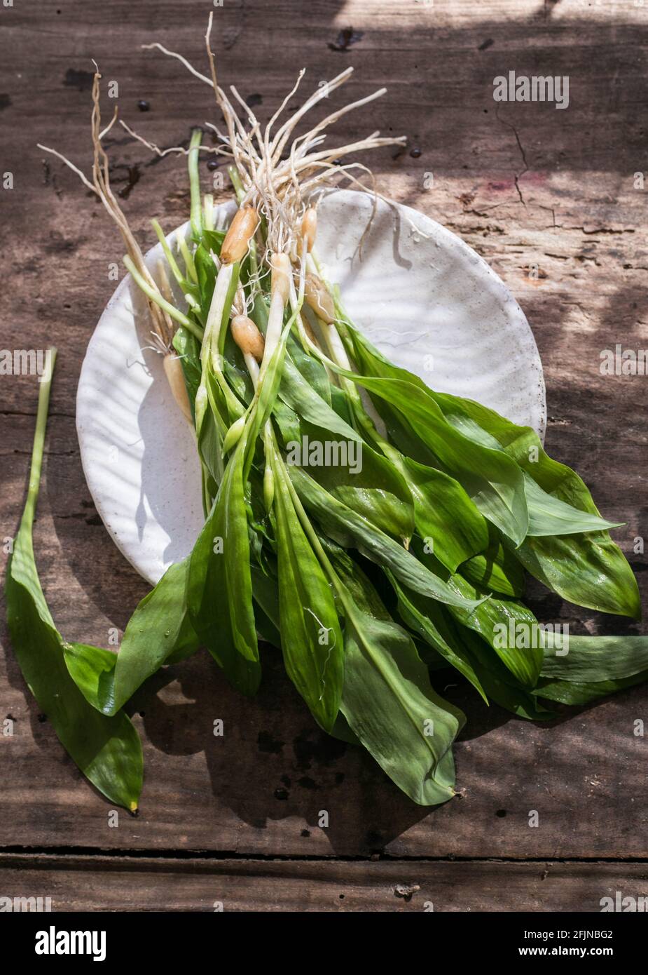 Organic Ramp Round Ramps harvest hi-res stock photography and images - Alamy