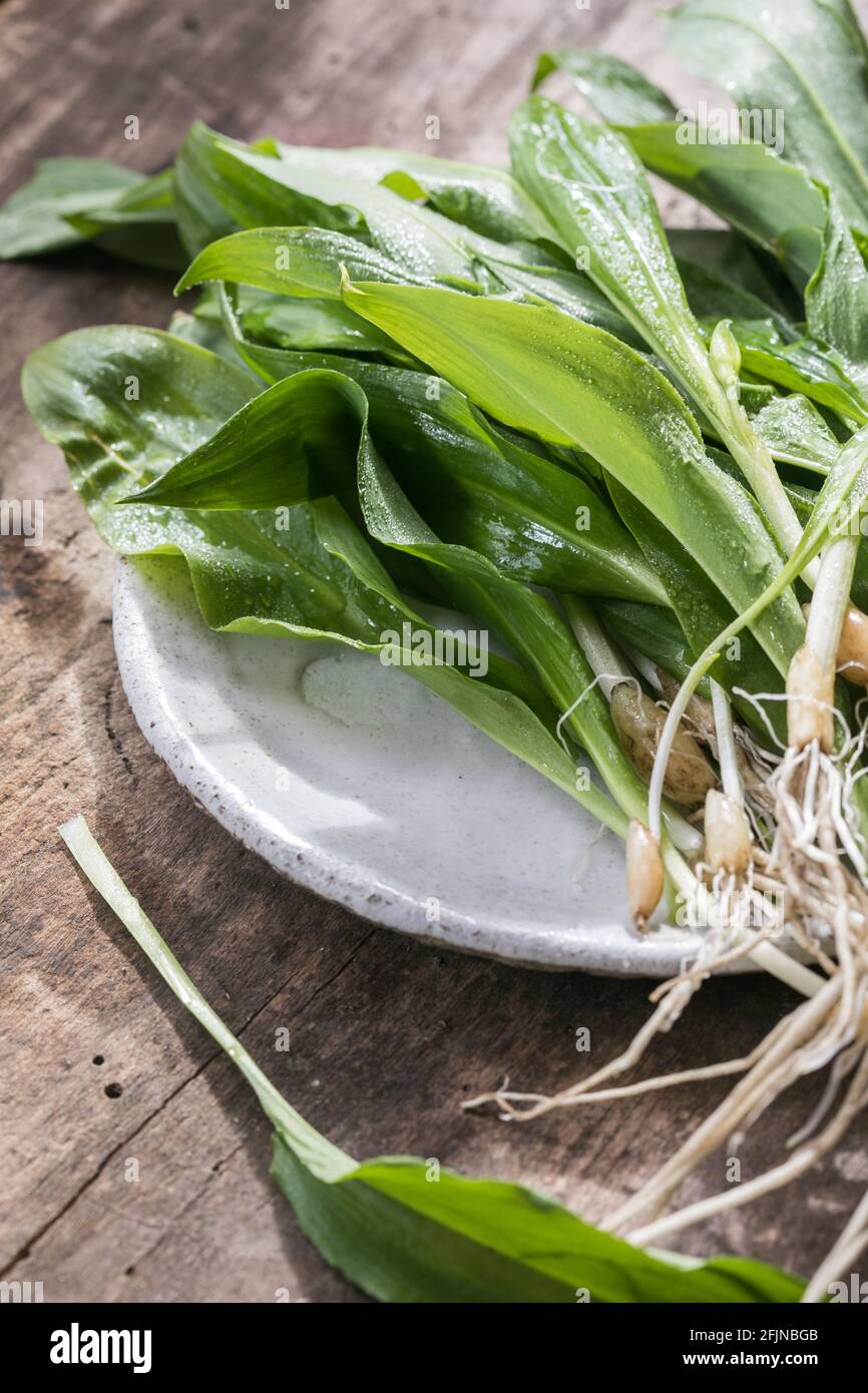 Raw organic green ramps or wild garlic Stock Photo Alamy