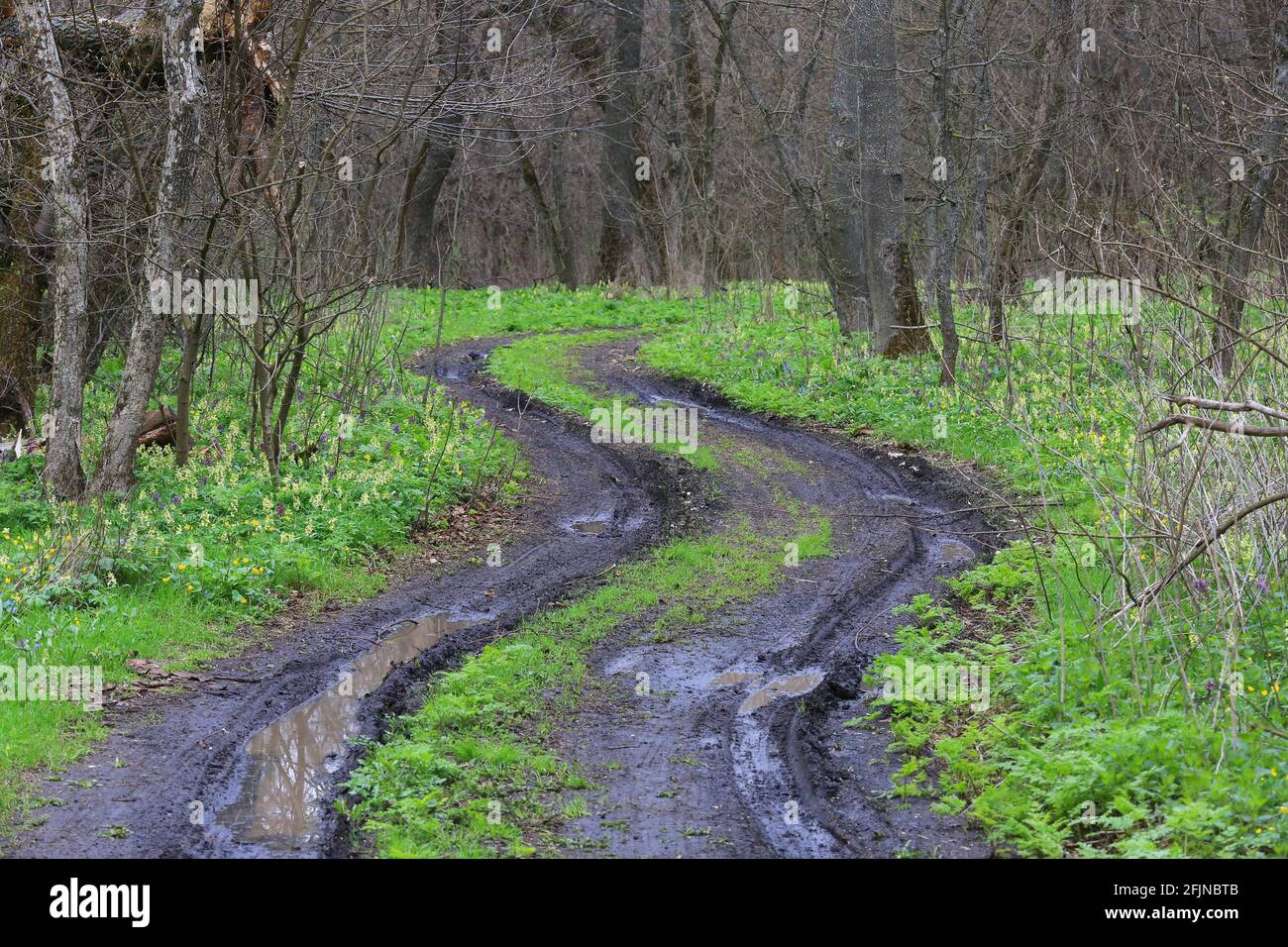 Bad rut hi-res stock photography and images - Alamy