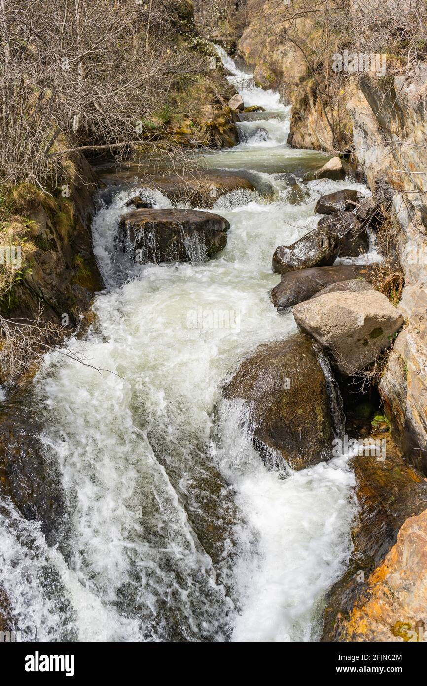 Small mountain river with rocks and waterfall.Nature landscape ...