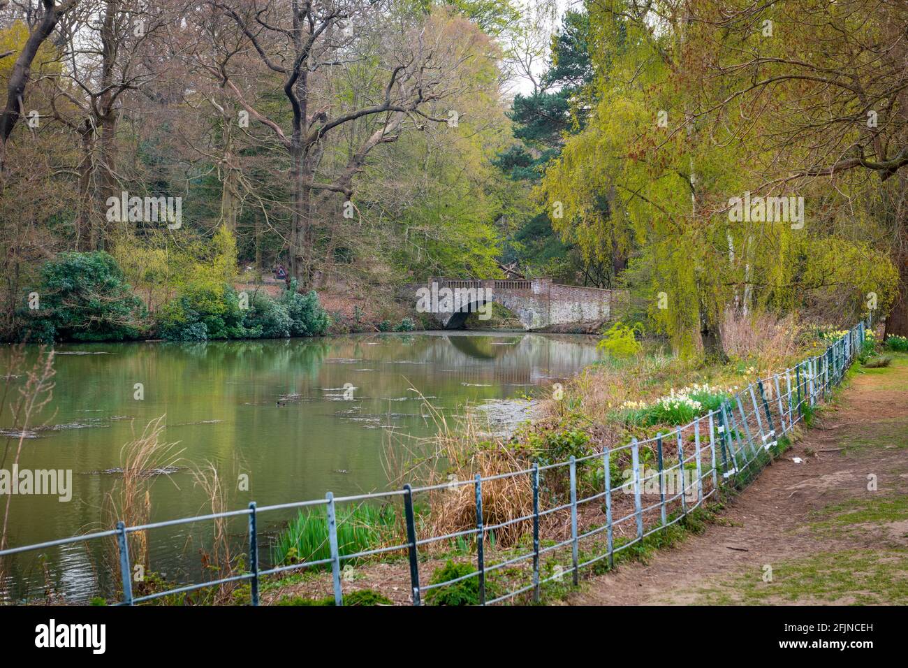 A landscape of a stone bridge spanning across a pond by the forest. Stock Photo