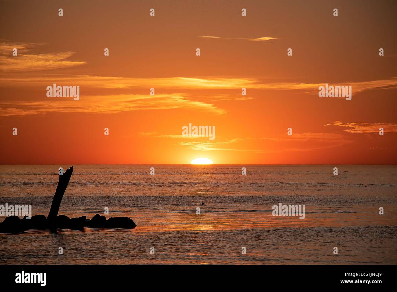 Can You Take Driftwood From Lake Michigan at Kevin Willie blog