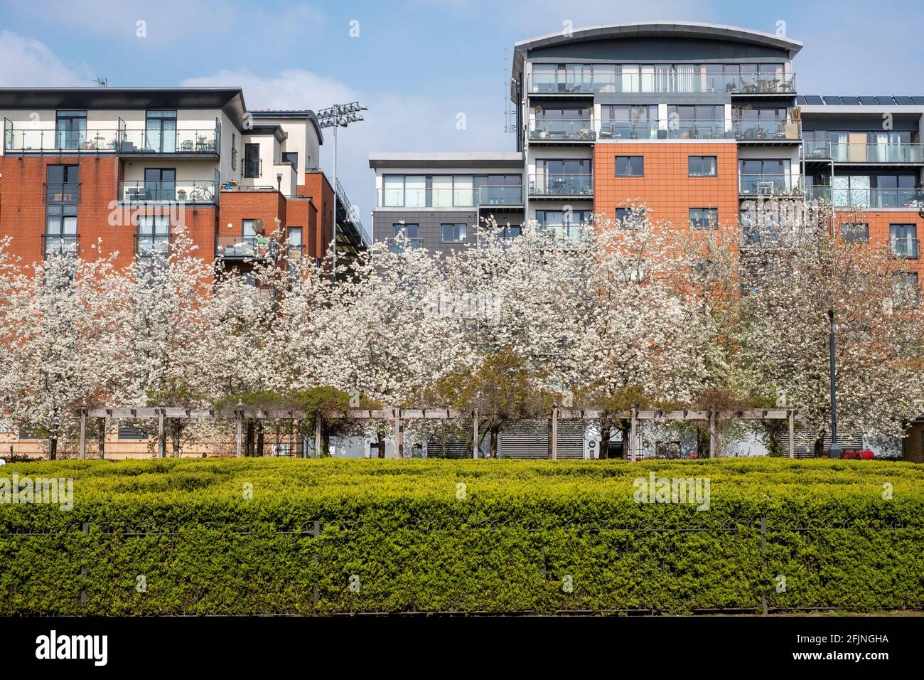 Coronation Gardens by Lyttelton Road, E10, London, United Kingdom Stock