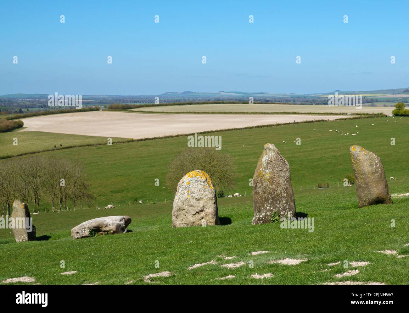view across a valley on the Southern edge of Pewsey Vale with five