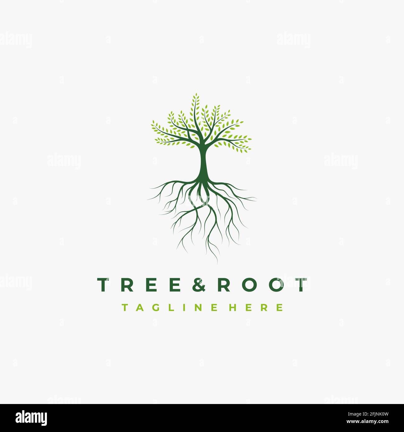 Vibrant tree logo design, tree and root vector. Tree of life logo
