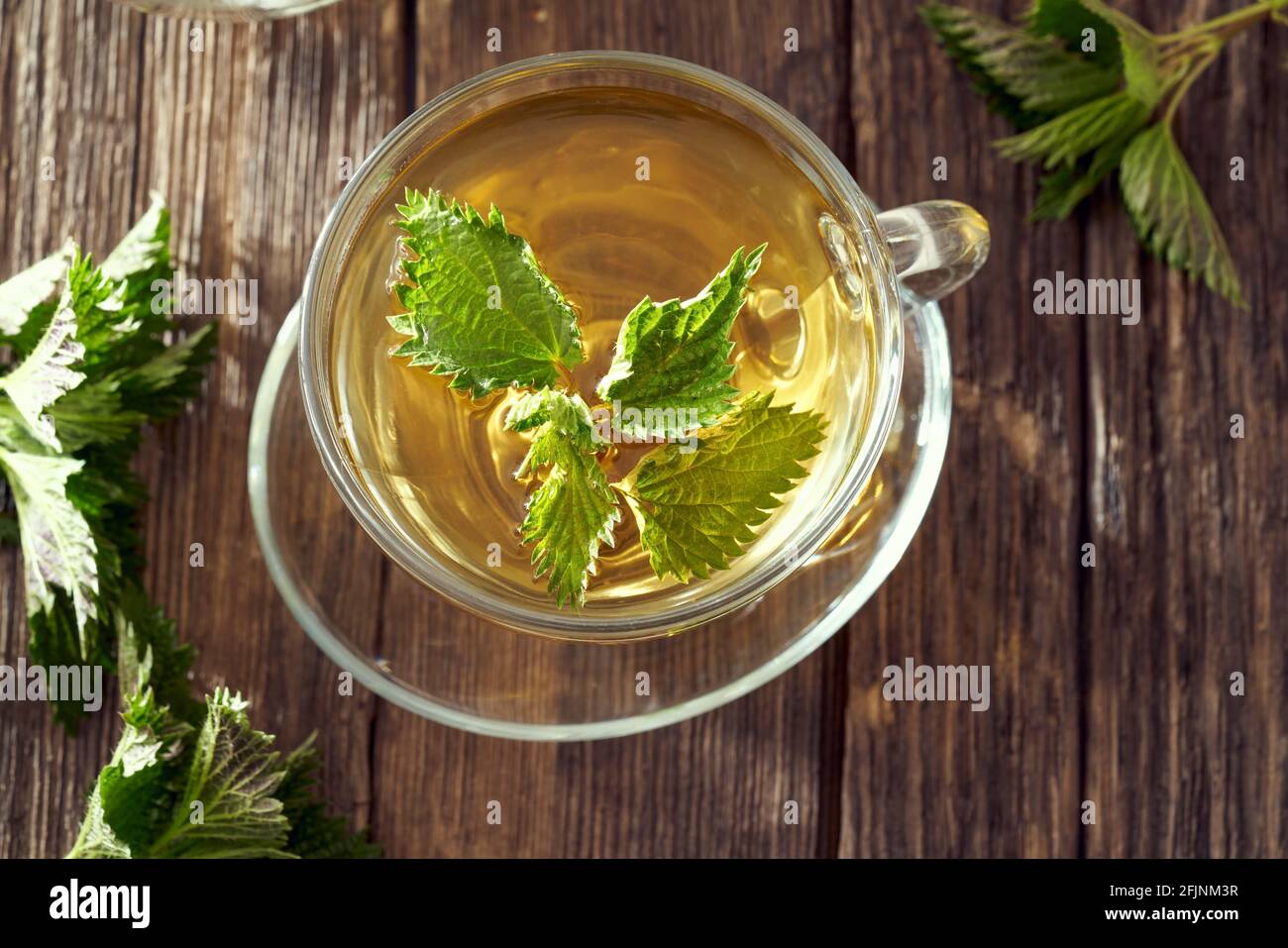 A cup of nettle tea with fresh herbs, top view Stock Photo