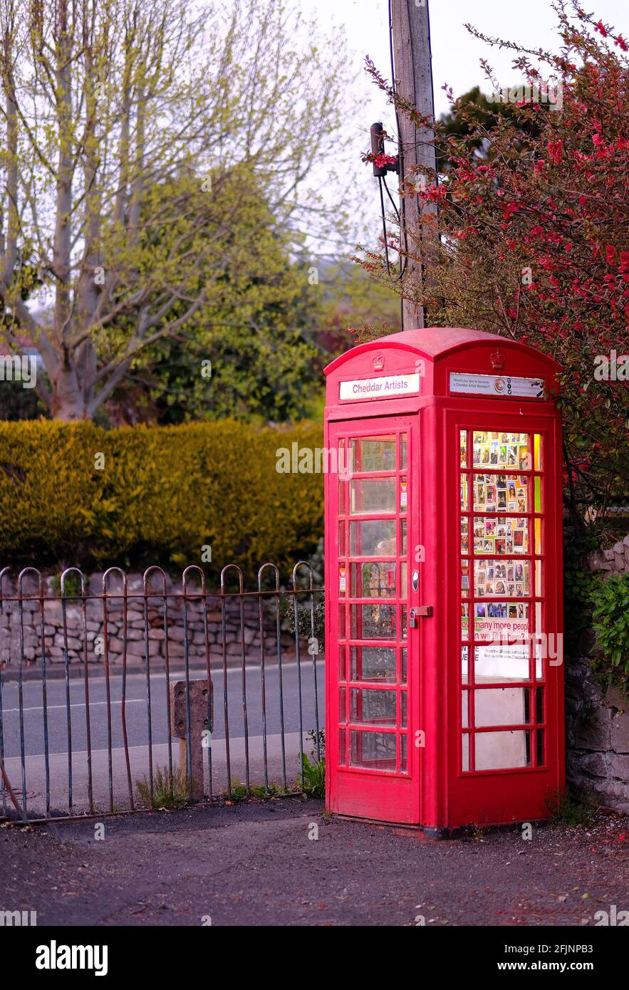 April 2021 - Old classic British Public telephone call box now repurposed for use by the local arts group in Cheddar. Stock Photo