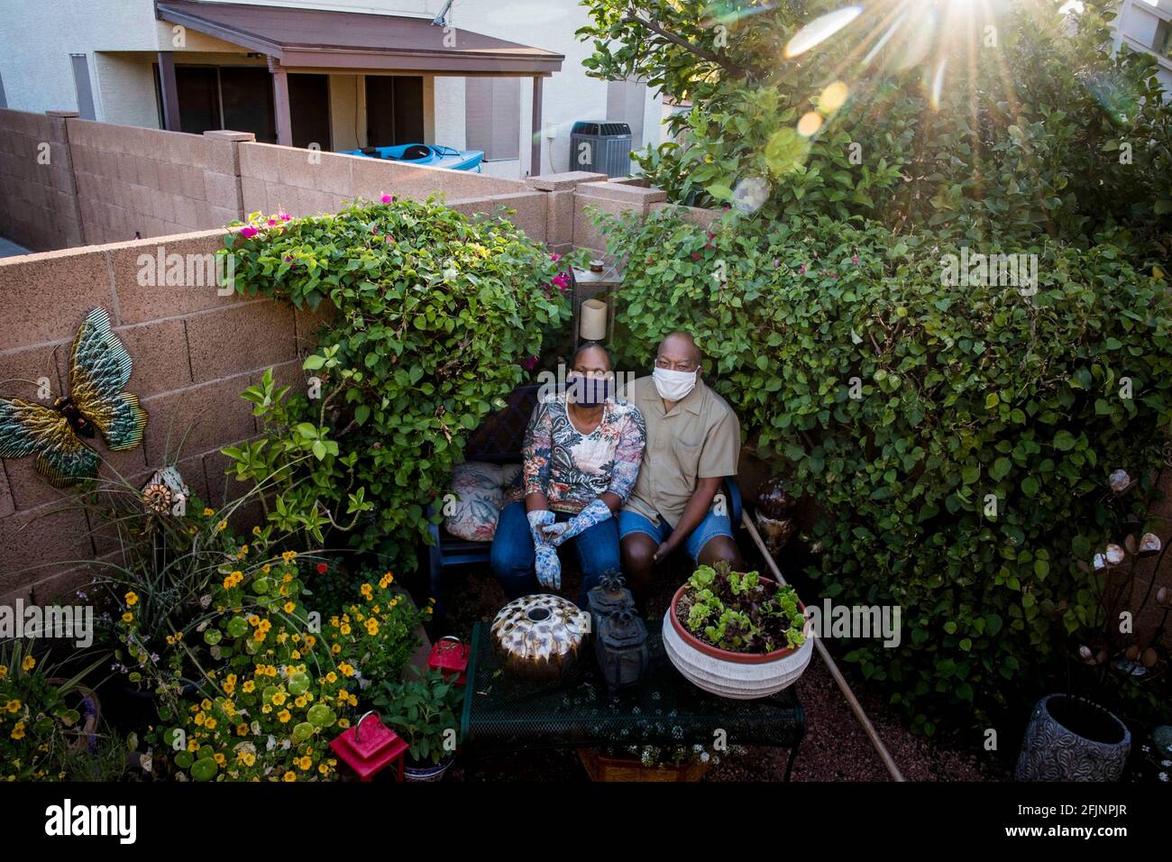 Arizona, USA. 18th May, 2020. When the lockdown hit, Jewel and James Shelton simply got busier. They got busy taking their backyard oasis and sanctuary to a much higher level. In the middle of Gilbert Arizona, they created a lush green tableau where they could escape the walls of their home that contained them as they isolated from the world to stay healthy during the COVID-19 Pandemic. ''Having a beautiful garden sanctuary in my backyard helps with my sanity, duringÂ these stressful times.Â The simple act of seeing beautiful plants is calming and relaxing.Â Maintaining this sanctuary is grea Stock Photo