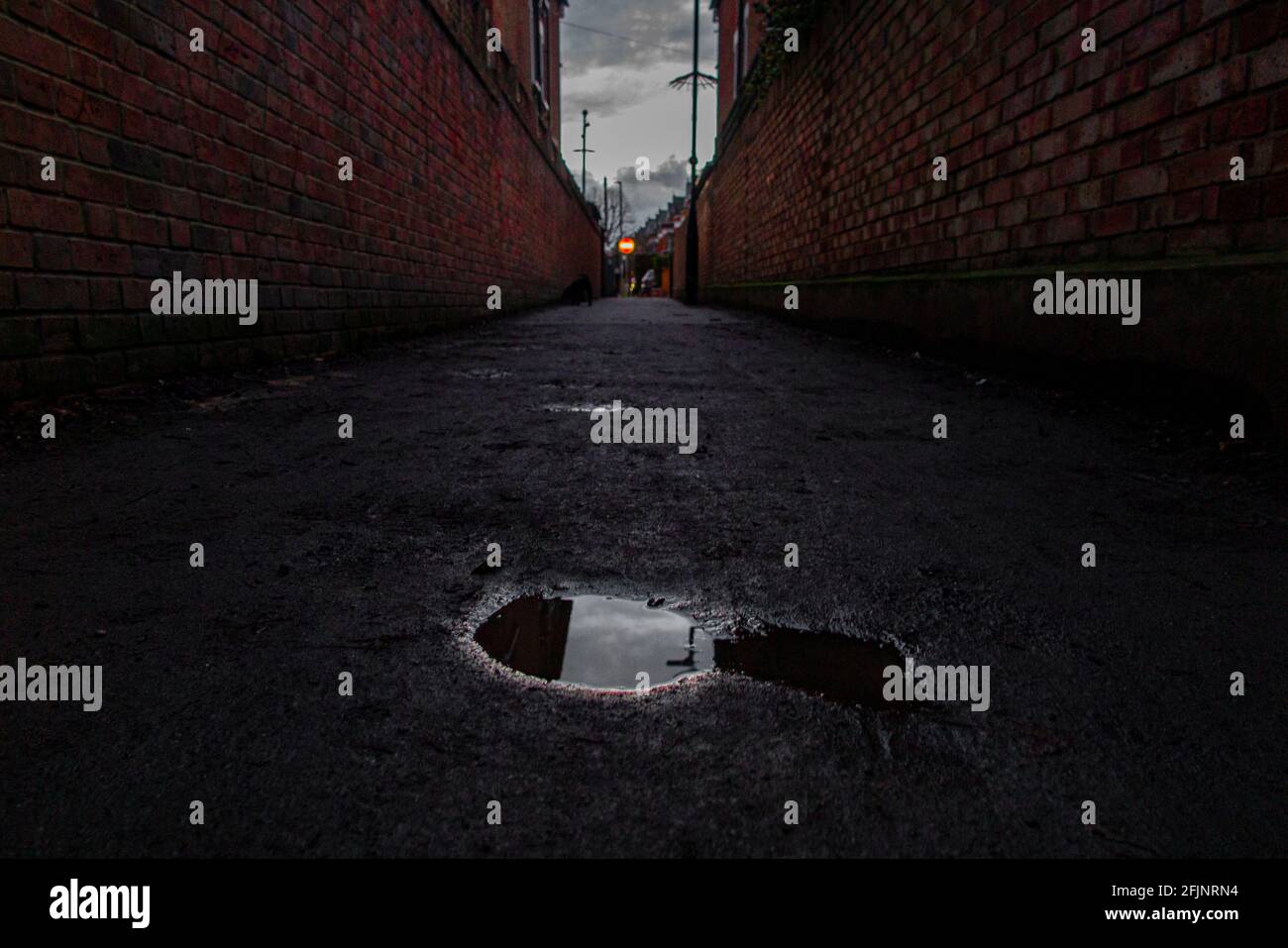 A no entry sign and a puddle in a dark alley way Stock Photo - Alamy