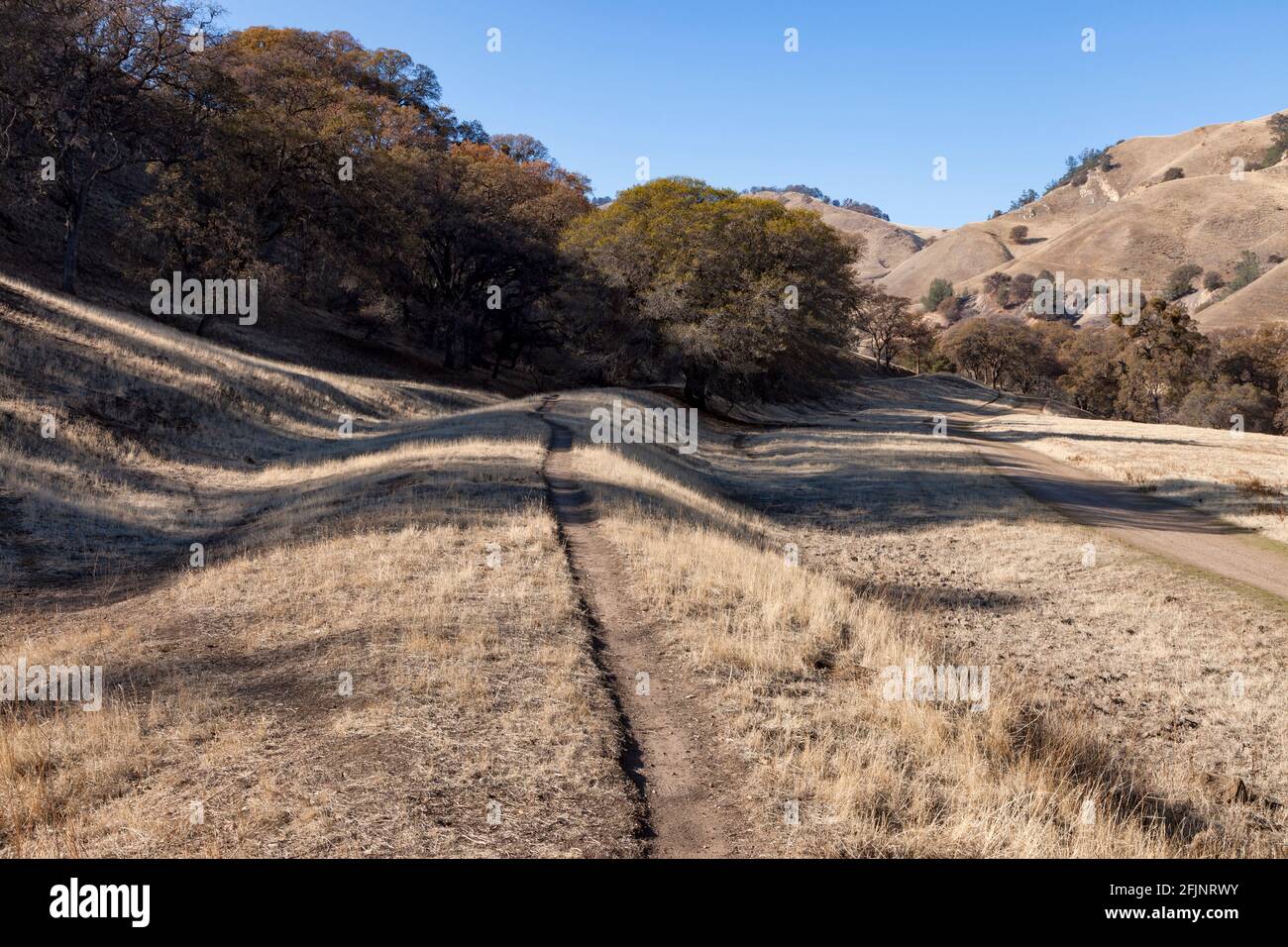 Empire Mine Railroad railbed leads to the the turn of the century coal mining town of Stewartville in Black Diamond Mines Regional Preserve in Eastern Stock Photo