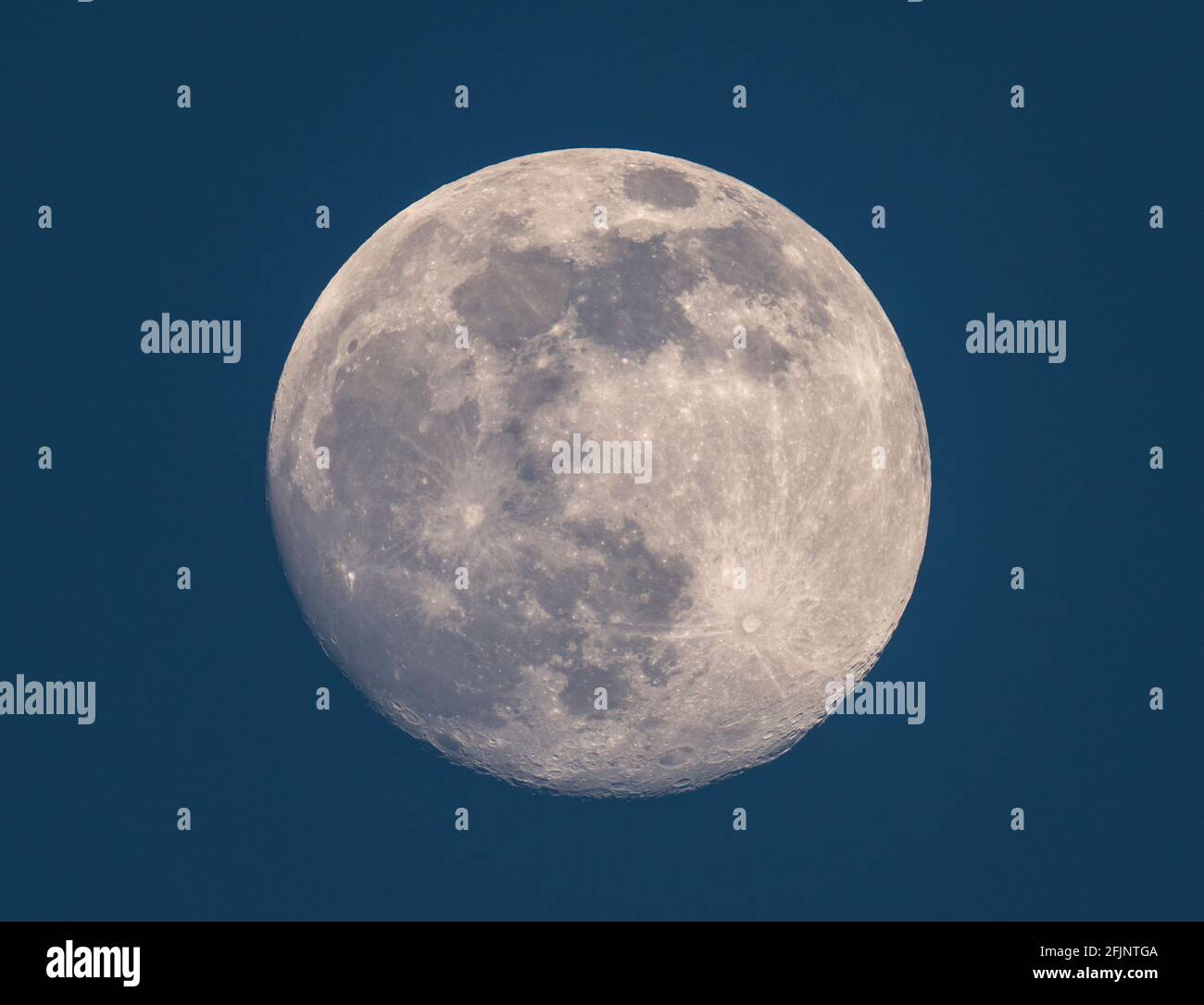 London, UK. 25 April 2021. 96% illuminated waxing gibbous Moon in blue mid-evening sky. The next full Moon from the UK is 4.31am on 27 April 2021, known as the Pink Moon. Credit: Malcolm Park/Alamy Live News. Stock Photo