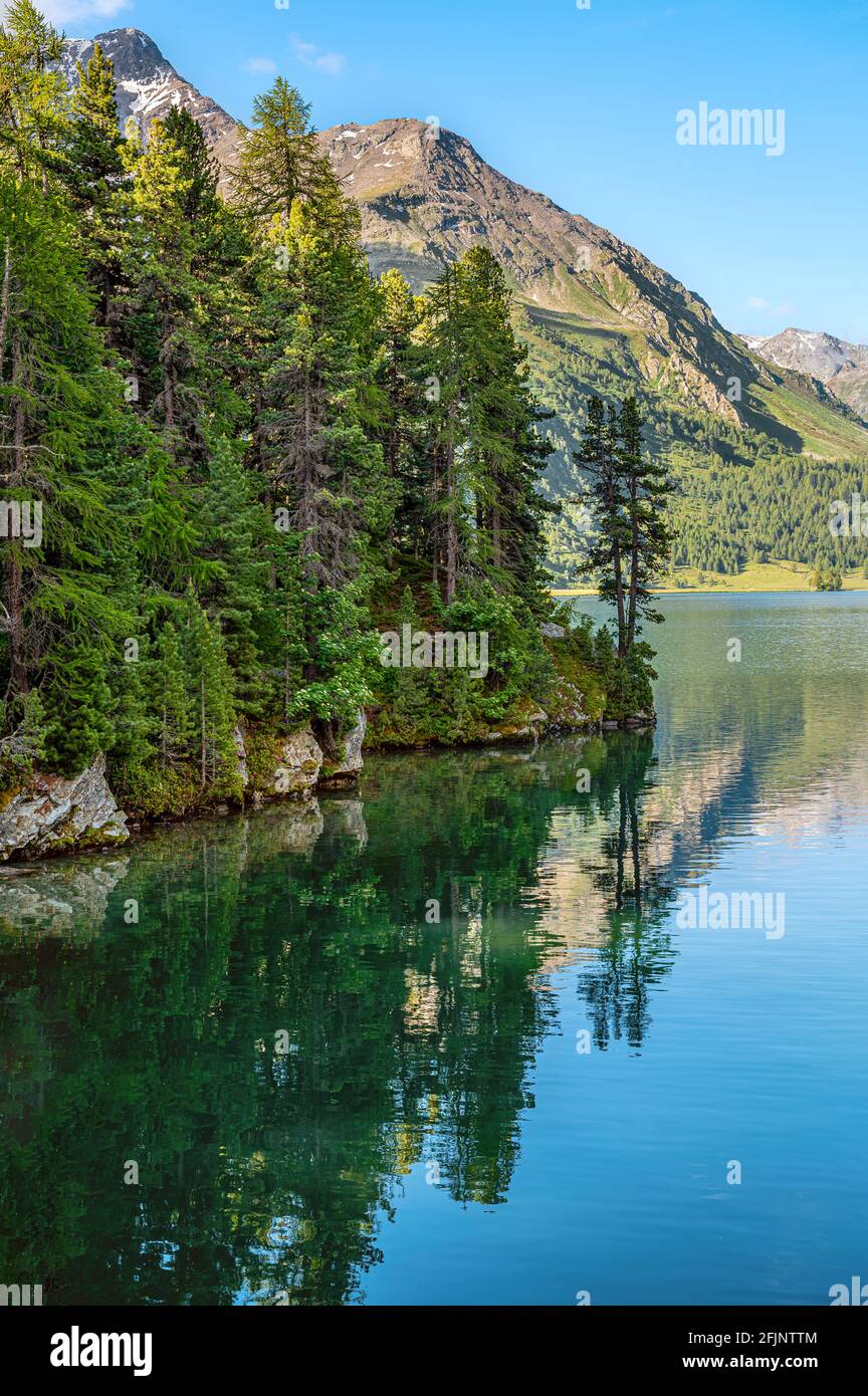 Summer morning at Chaste Peninsula, Lake Sils, Upper Engadin, Switzerland, with Piz Margna at the background Stock Photo