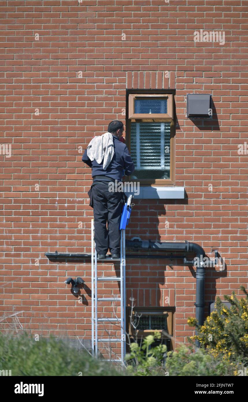 window cleaner at work on ladder Stock Photo