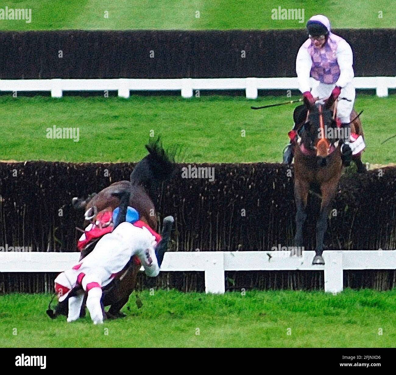 CHELTENHAM FESTIVAL. THE GOLD CUP. LOOKS LIKE TROUBLE (RIGHT) AFTER THE 2ND LAST WITH GLORIA VICTIS FALLING. 16/3/00. PICTURE DAVID ASHDOWN. Stock Photo