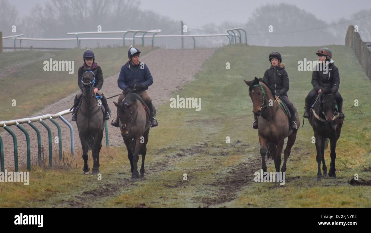 Horse Racing Stables, take a look behind the scenes of Horse Racing ...