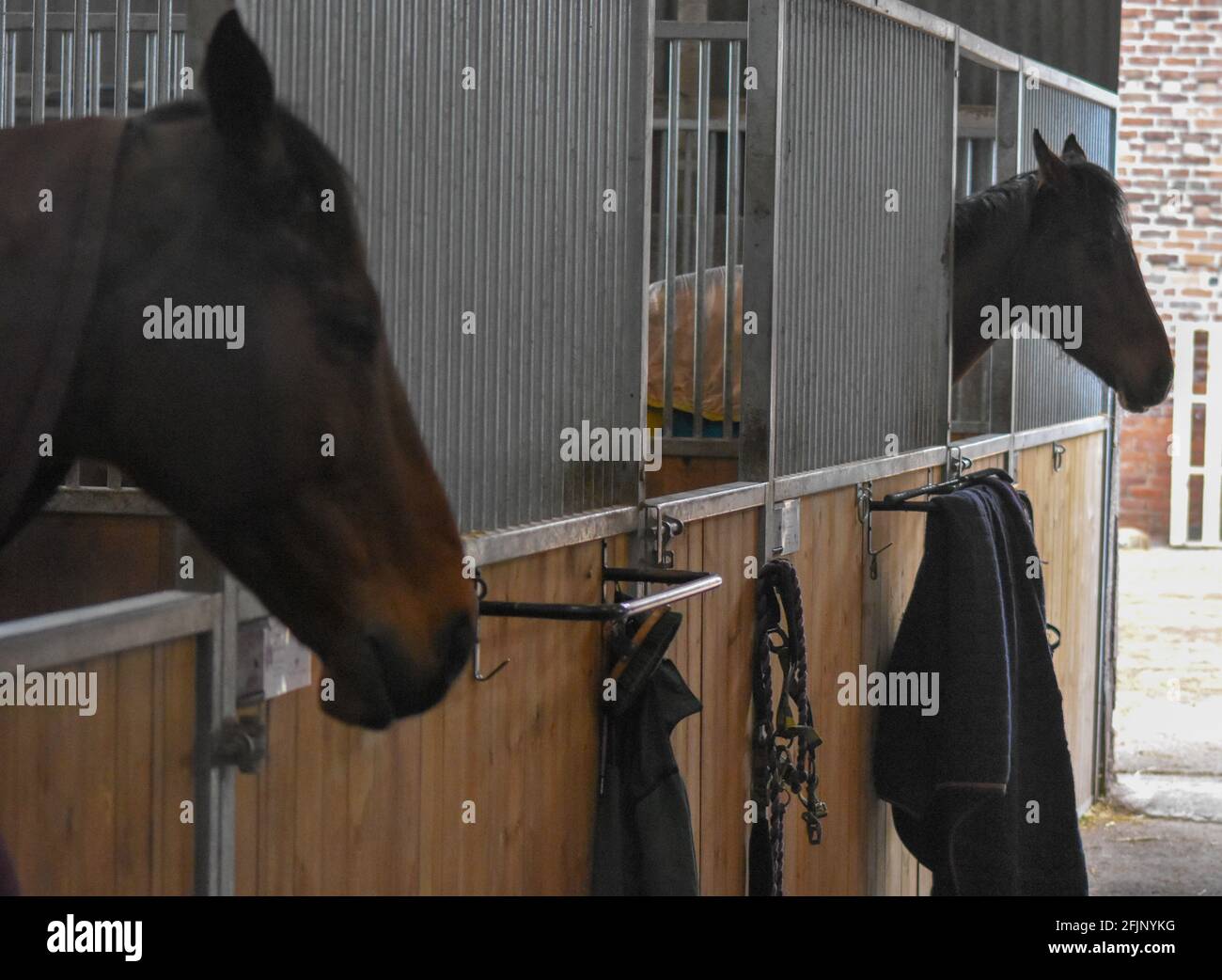 Horse Racing Stables, take a look behind the scenes of Horse Racing
