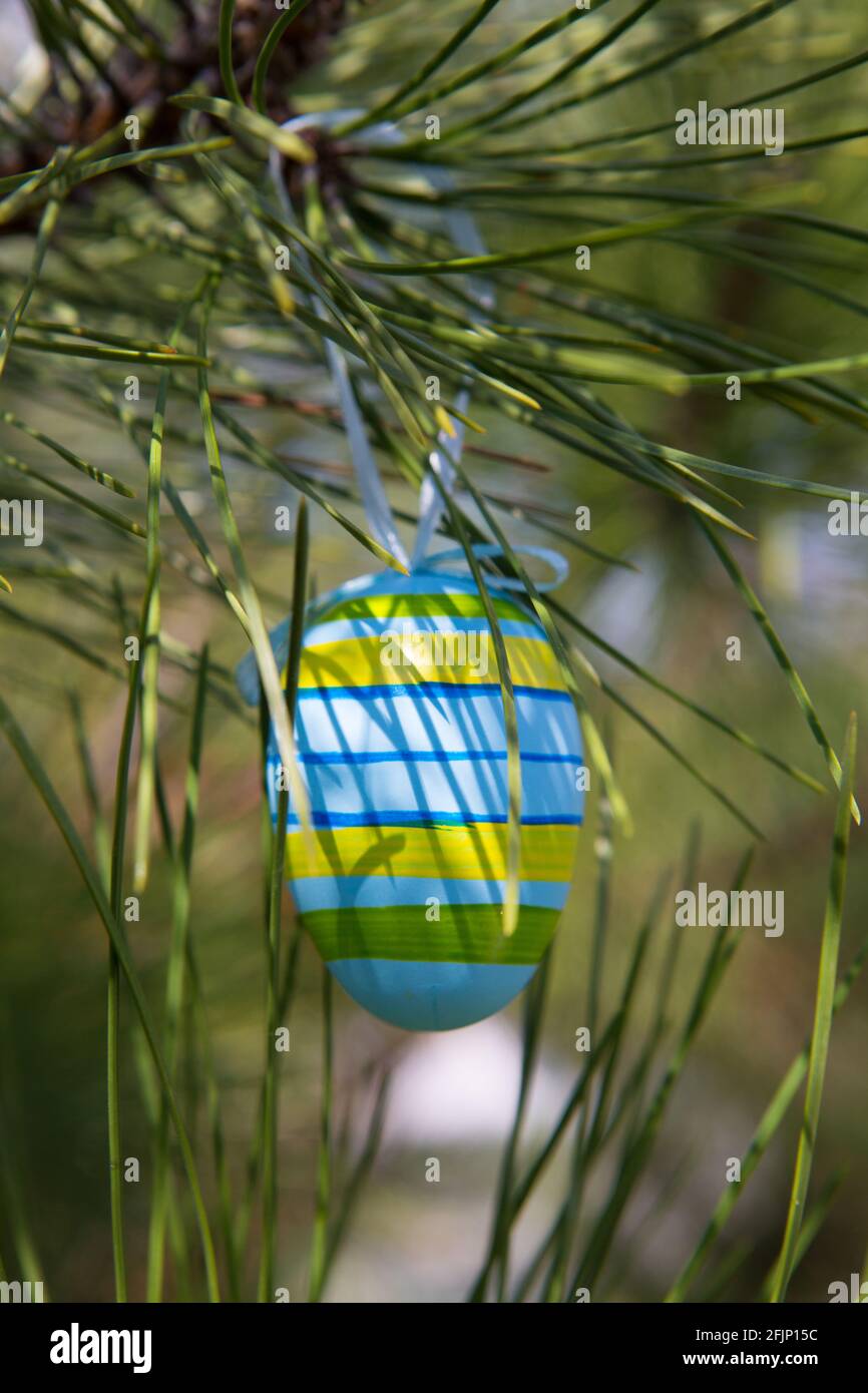 Easter egg on pine branches. Eggs for the festive table on the day of the liturgical holiday of the year. Easter is a Christian holiday dedicated to f Stock Photo