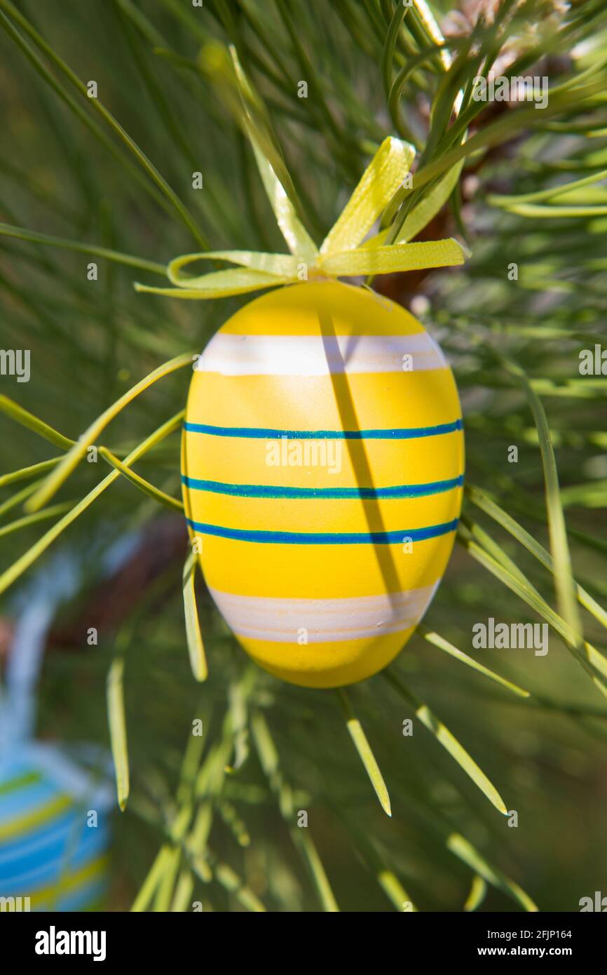 Easter egg on pine branches. Eggs for the festive table on the day of the liturgical holiday of the year. Easter is a Christian holiday dedicated to f Stock Photo