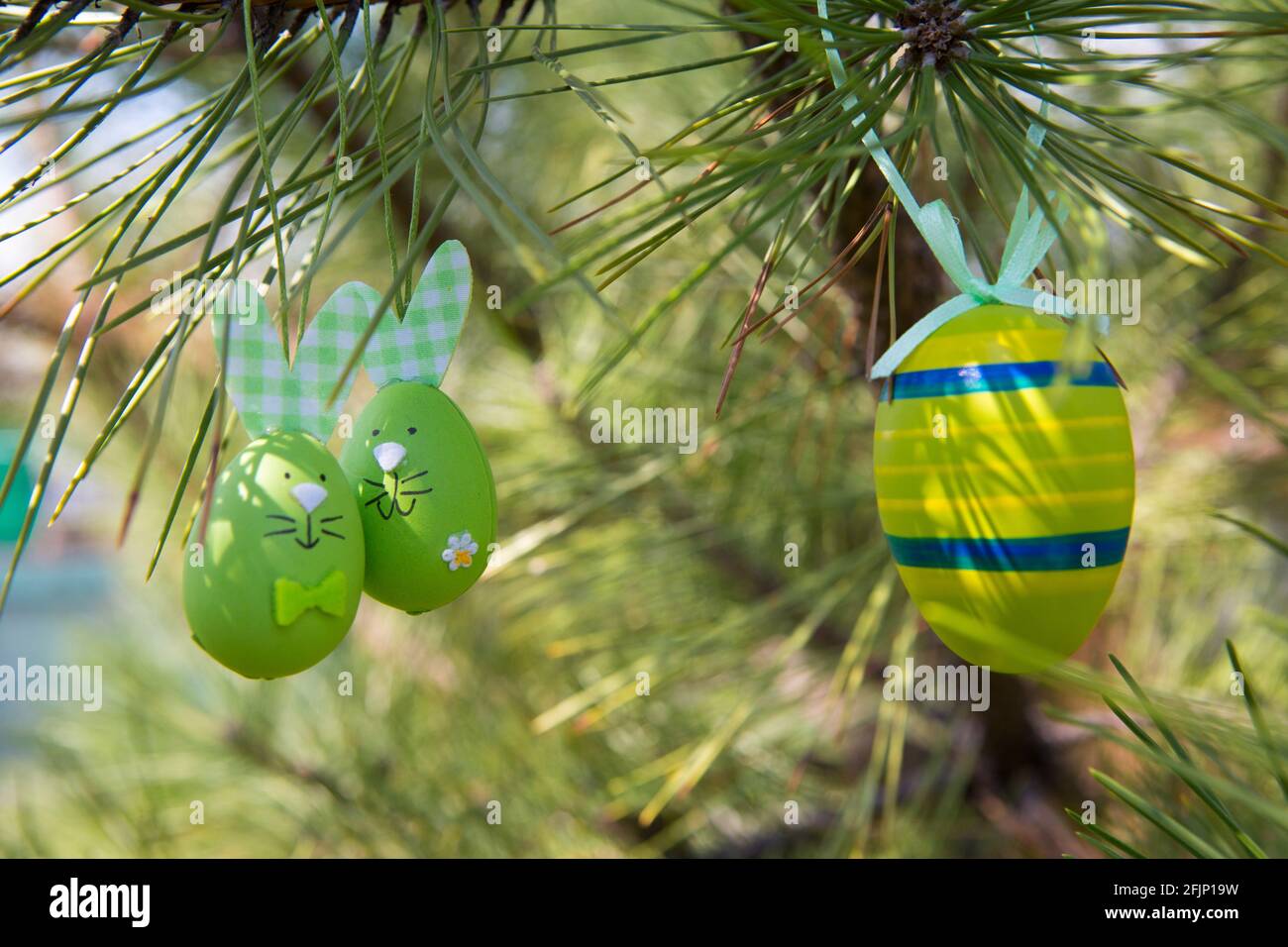 Easter egg on pine branches. Eggs for the festive table on the day of the liturgical holiday of the year. Easter is a Christian holiday dedicated to f Stock Photo