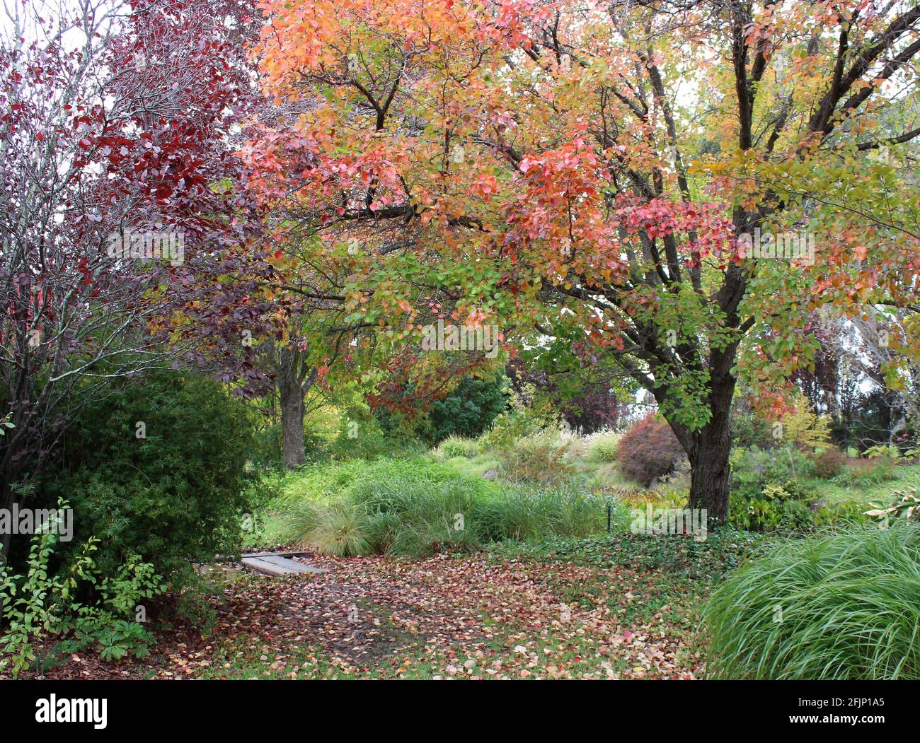 Tenterfield hires stock photography and images Alamy