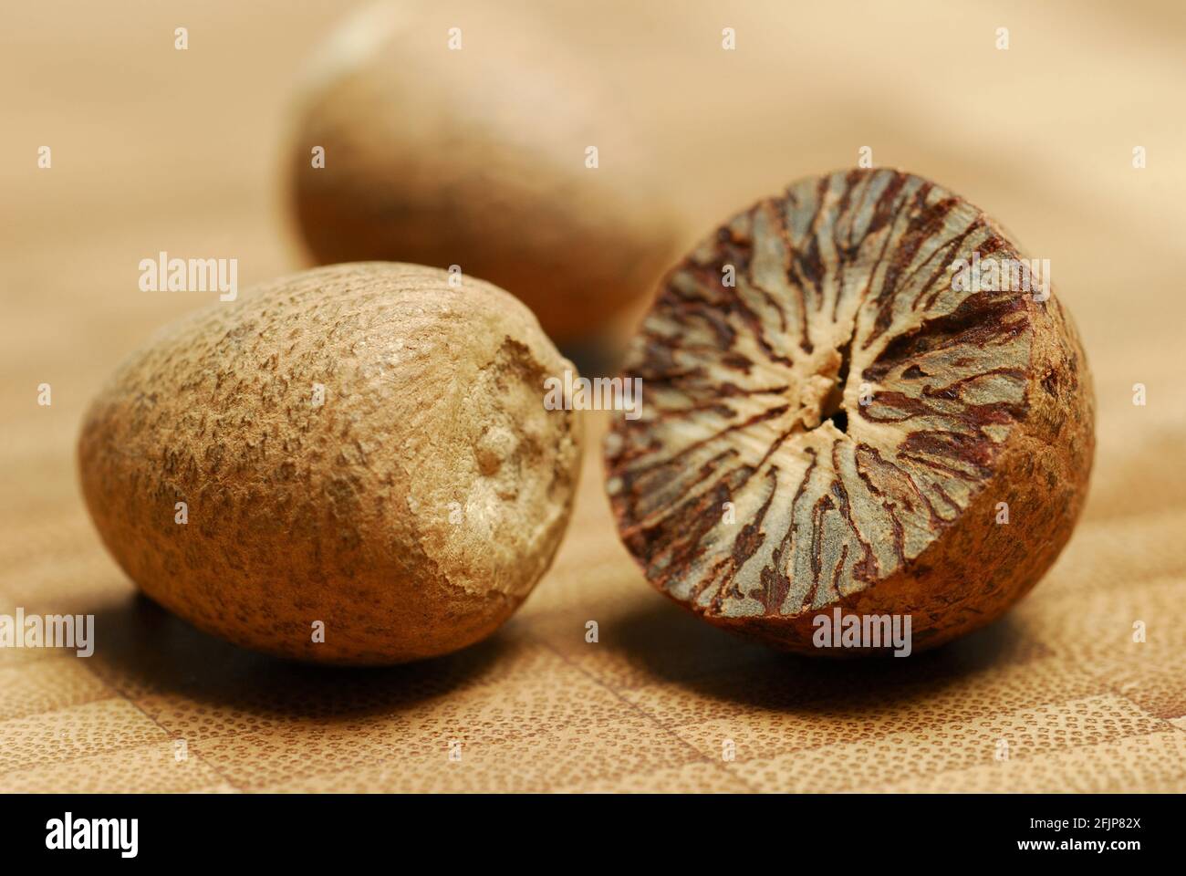 Betel nut (Areca catechu) , betel nut, arecanut Stock Photo