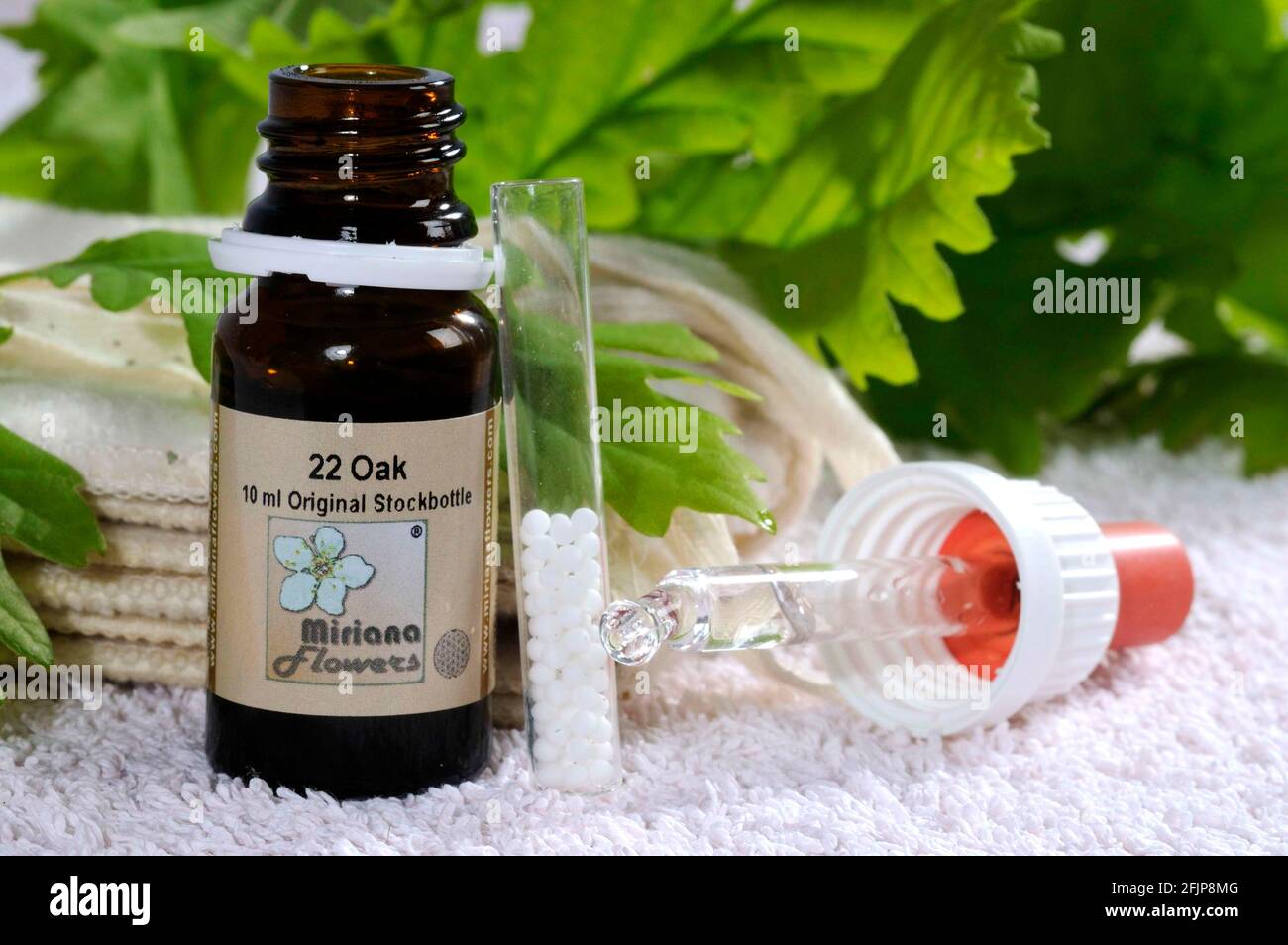 Bottle with Bach Flower Drops Oak' and globules, oak, Bach Flowers, Bach Flower Therapy Stock Photo