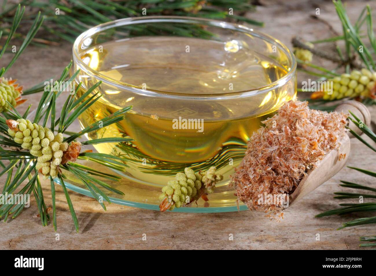 Cup of pine sprout tea (Pinus silvestris) Stock Photo