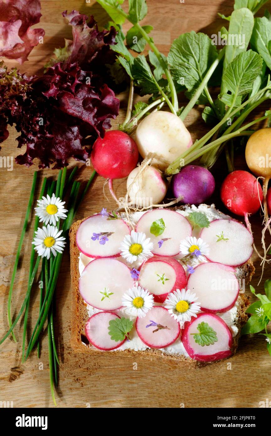 Slice of bread with radish (Raphanus sativus sativus), radish bread