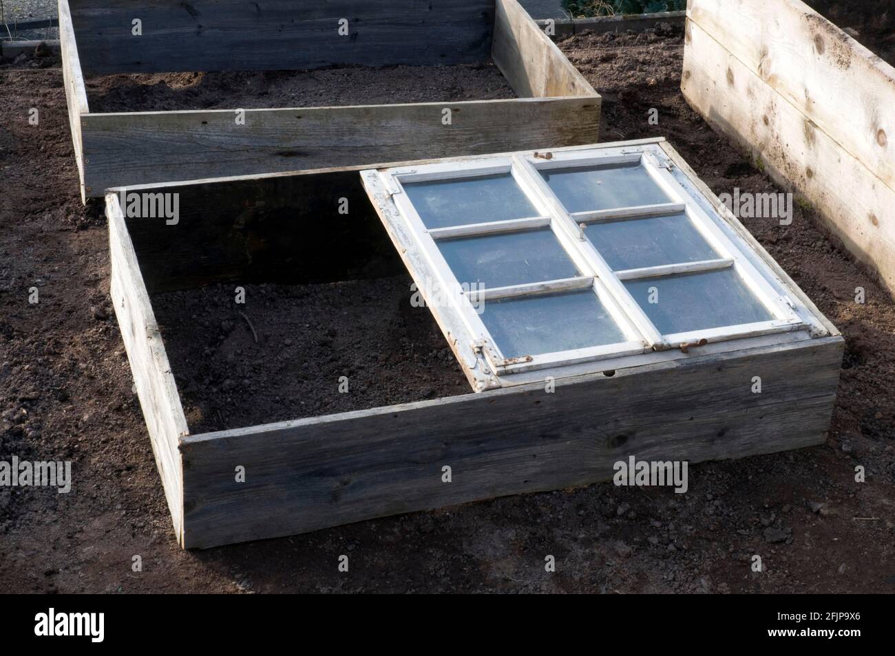 Creation of cold frame Stock Photo