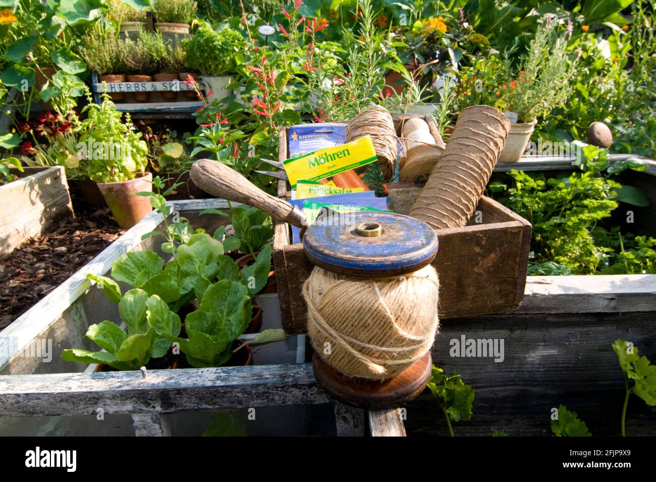 Herb garden, planting string, seeds Stock Photo - Alamy