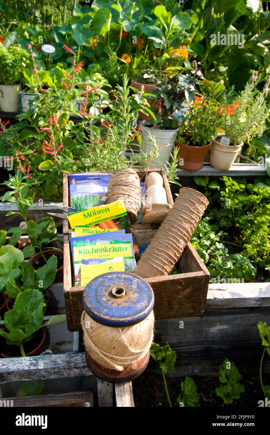 Herb garden, planting string, seeds Stock Photo - Alamy